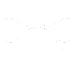 Pet Friendly Community