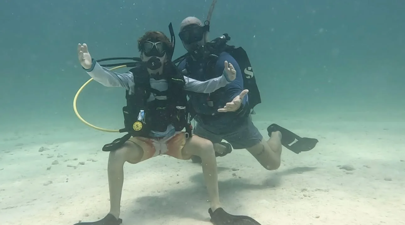 bodiedive.jpeg