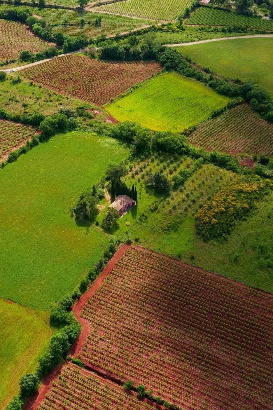 Aerial view of rolling countryside with patchwork of green fields and colorful farmland, small house surrounded by trees, in a rural landscape.