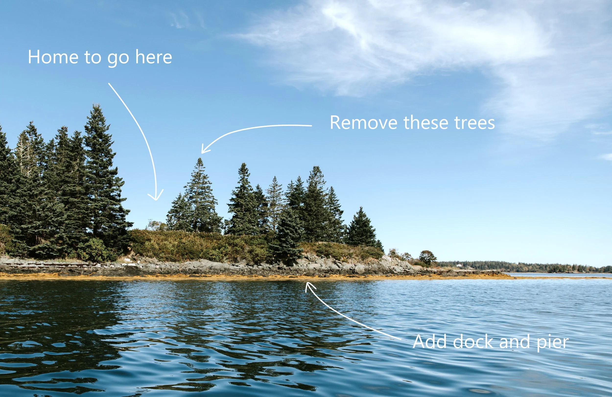 A scenic view of a forested shoreline with trees on a hill, a clear blue sky with some clouds, and calm water in the foreground. Text annotations indicate "Home to go here," "Remove these trees," and "Add dock and pier."