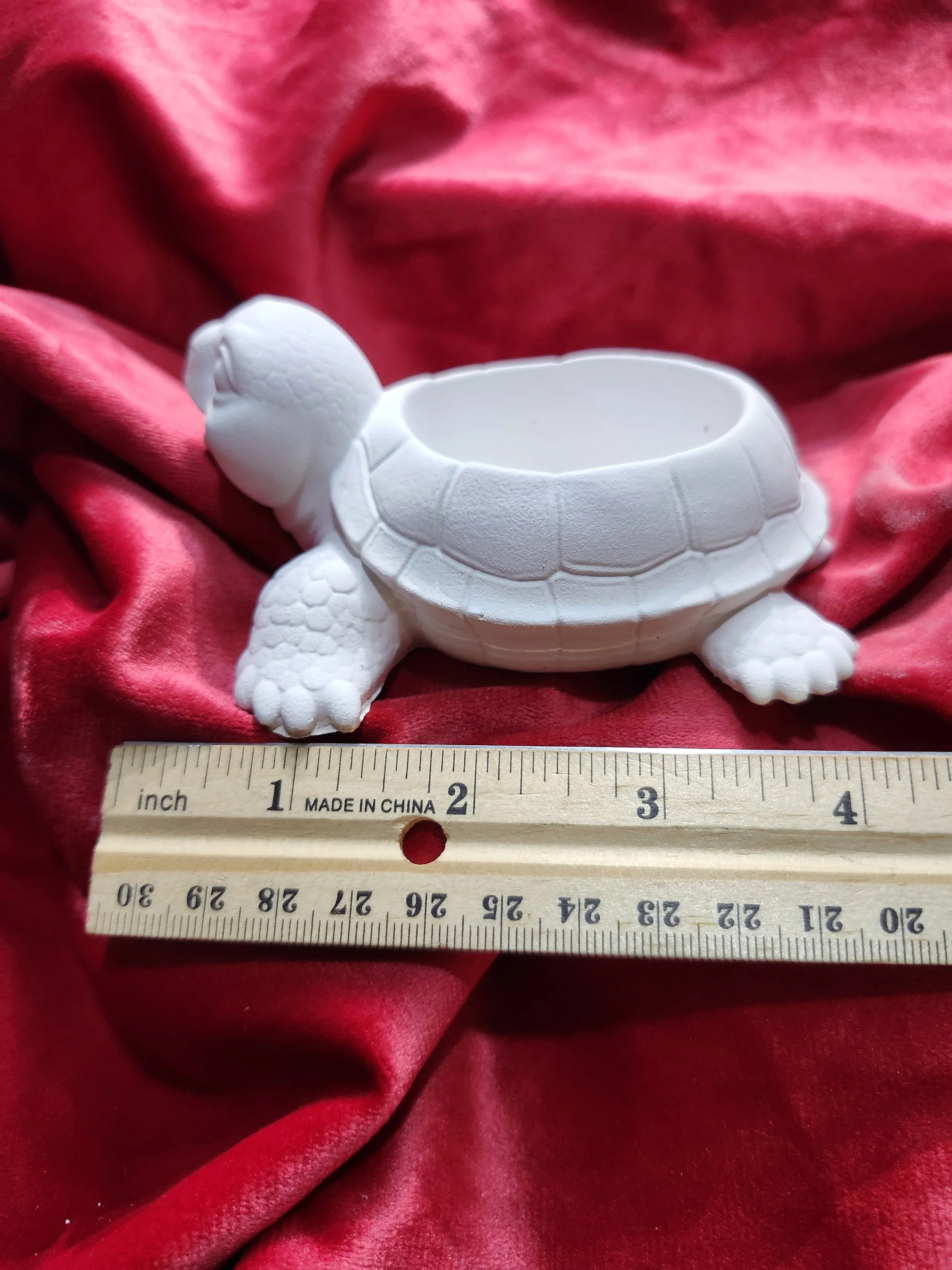 Sm Turtle Bowl 60 Ruler.jpg