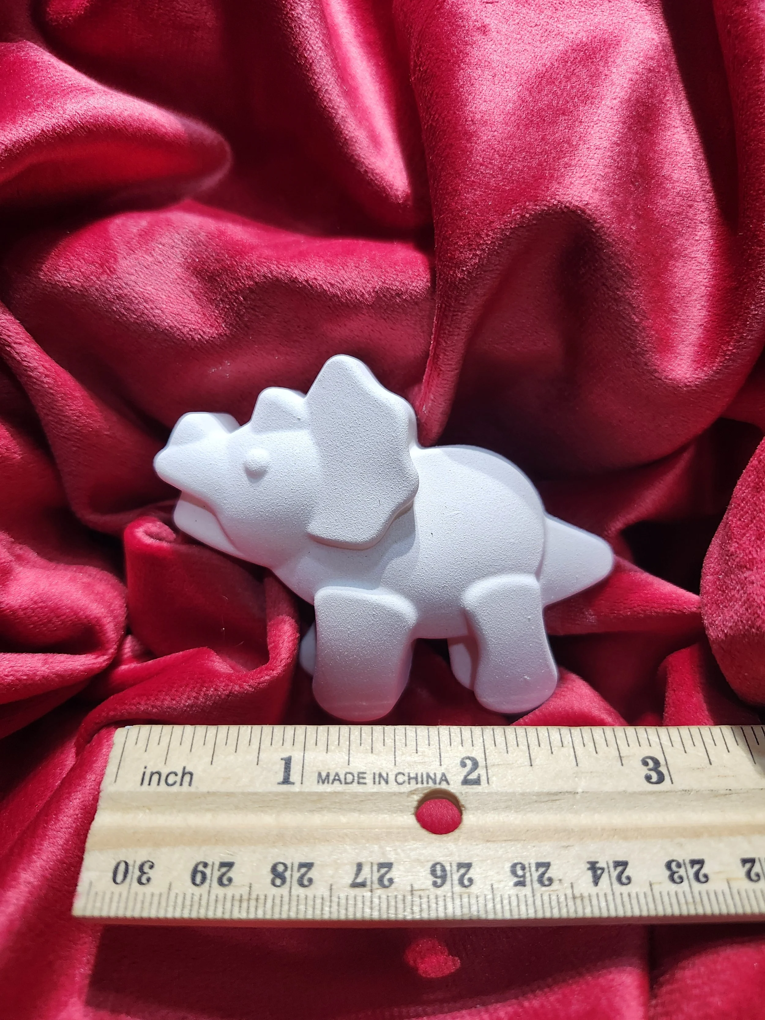triceratops 15 ruler.jpg