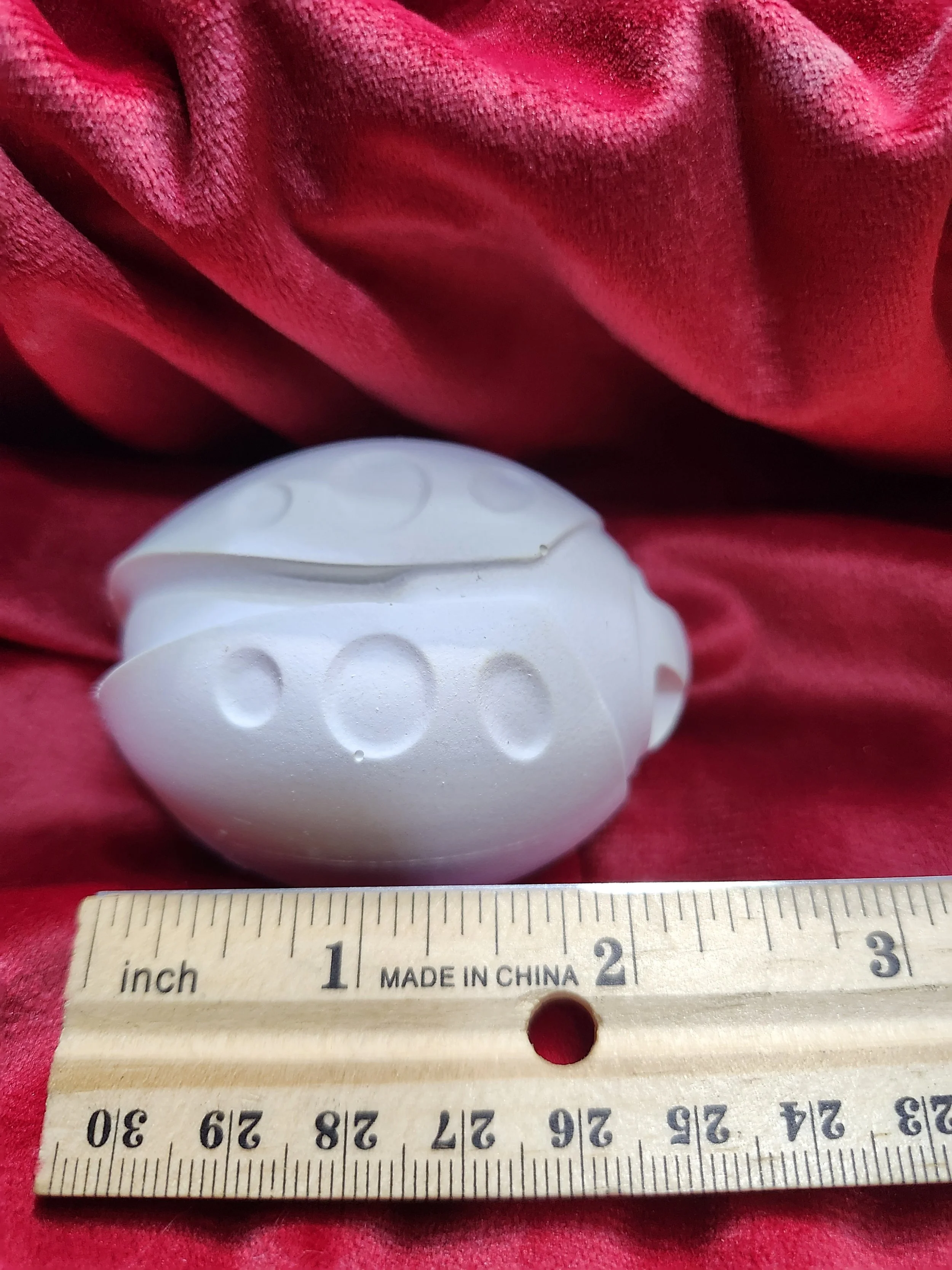 Ladybug 73 Ruler.jpg
