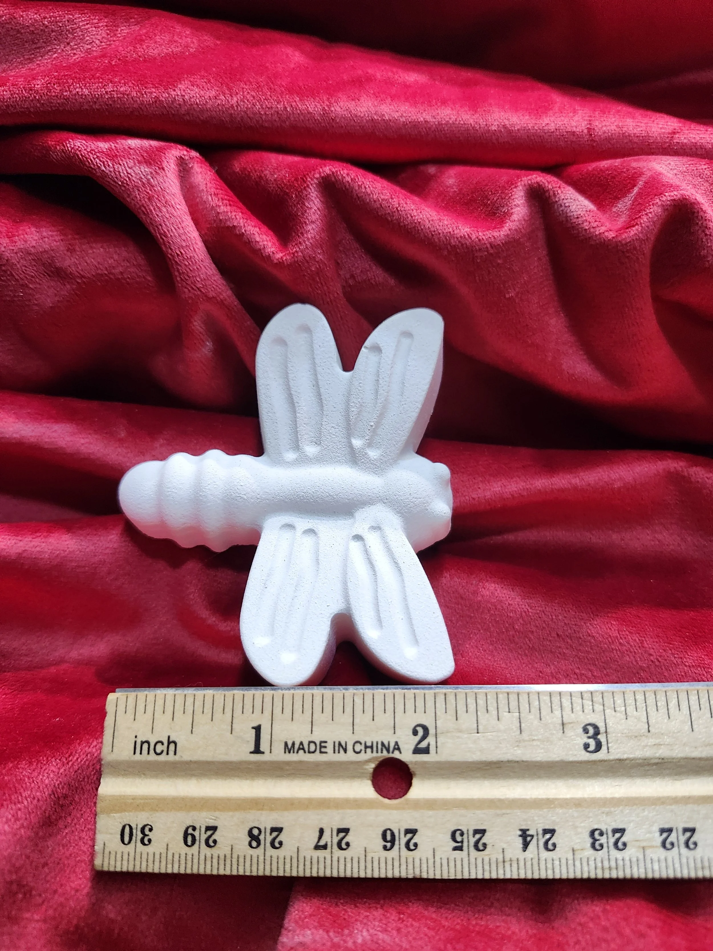 Dragonfly 74 Ruler.jpg