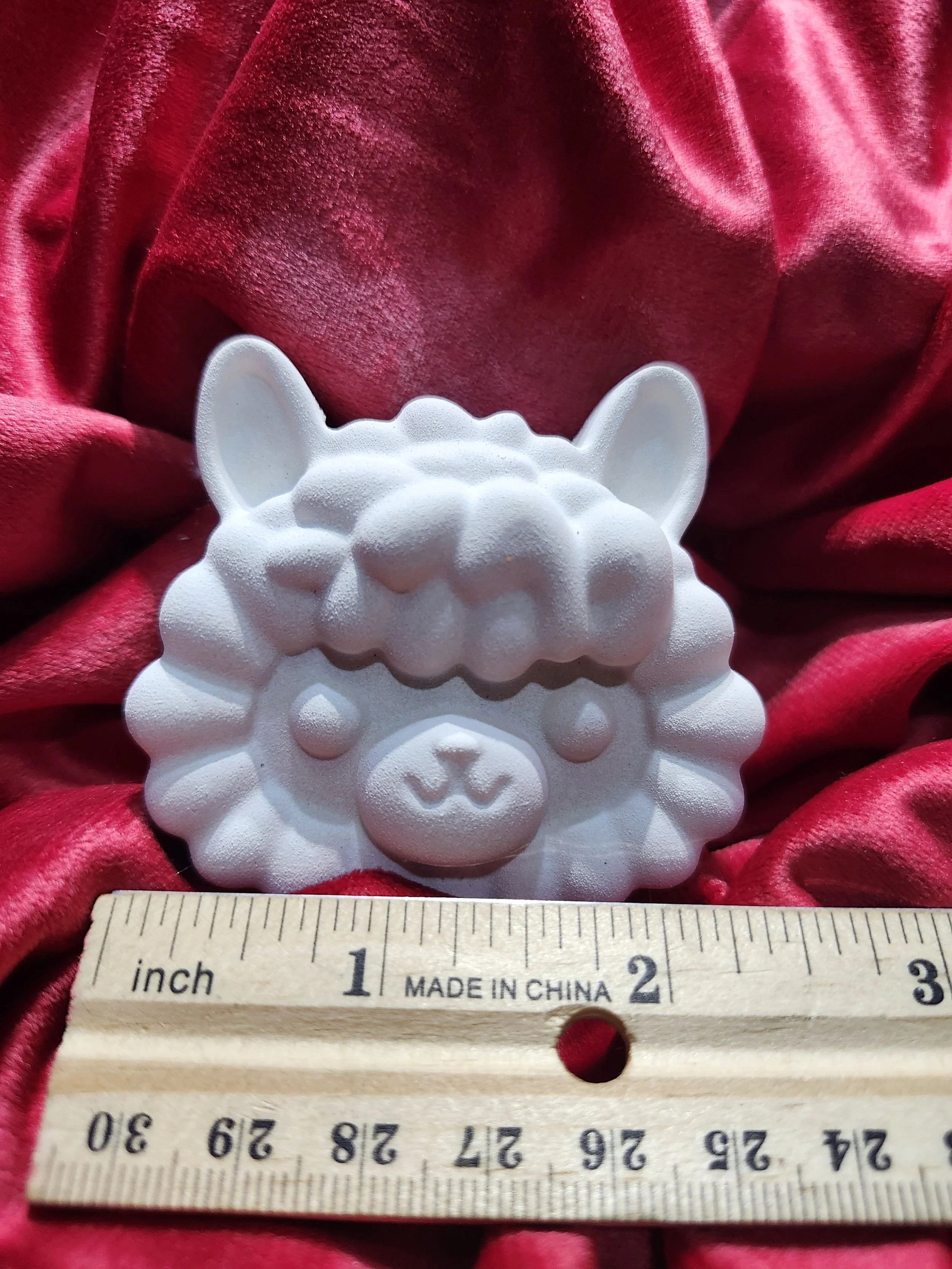 llama 17 ruler.jpg