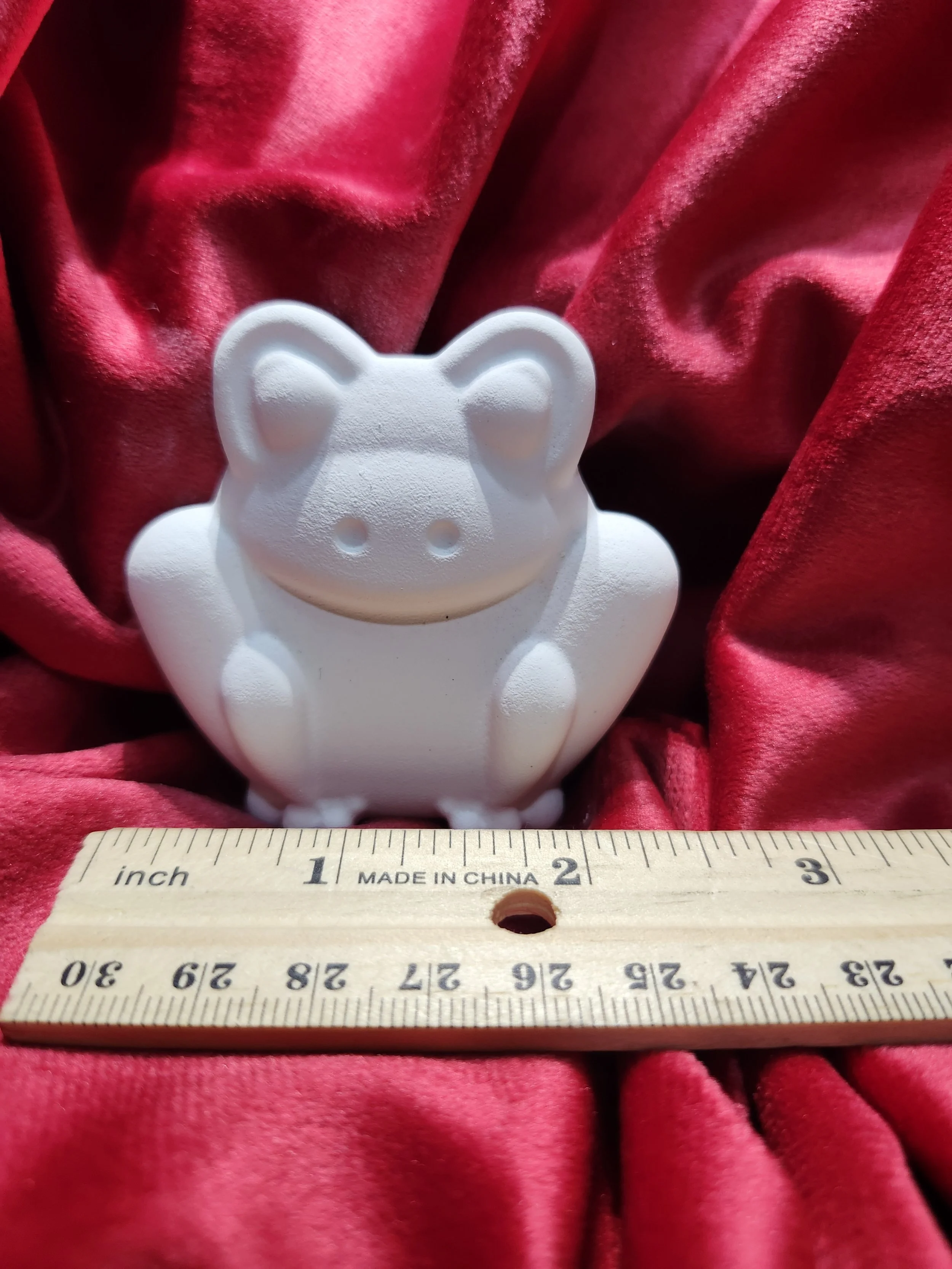frog 6 ruler.jpg