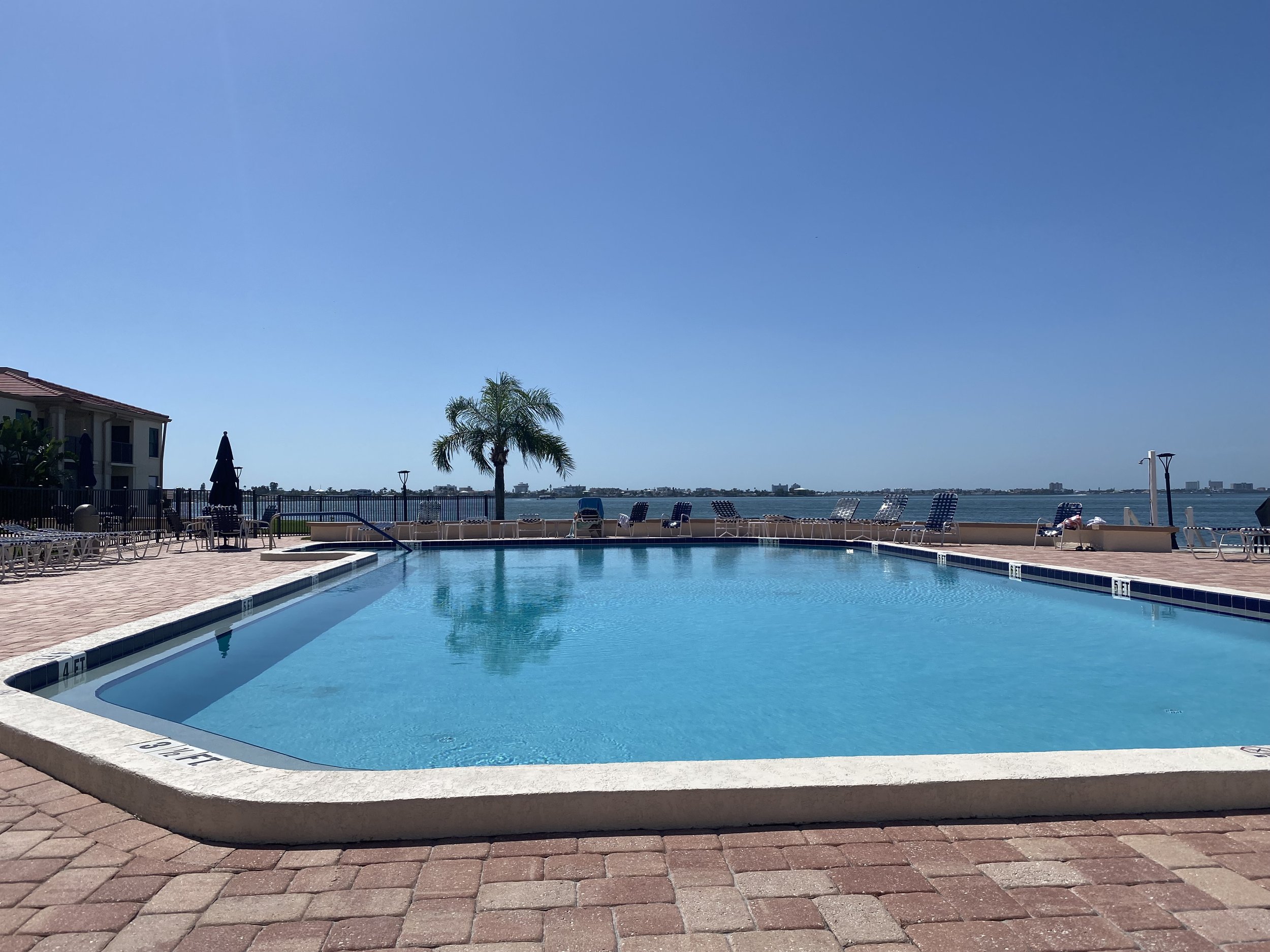 monthly rental in St. Petersburg_Shared pool at Isla Del Sol overlooking the ocean where dolphins are often seen