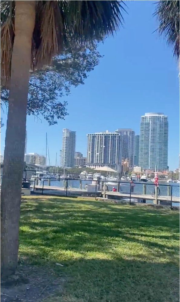 St-pete-downtown-marina-skyscrapers.png