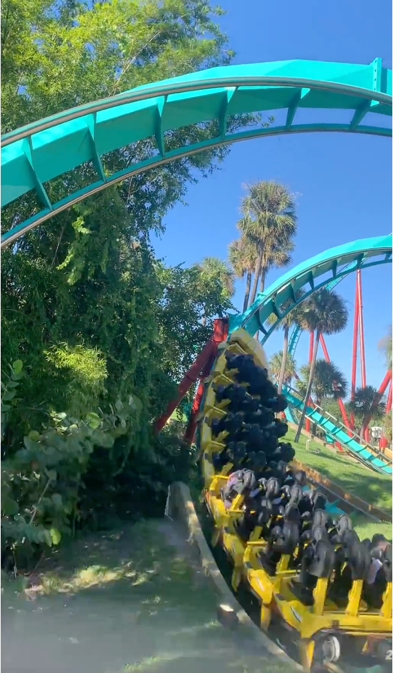 busch-gardens-ride_green.png