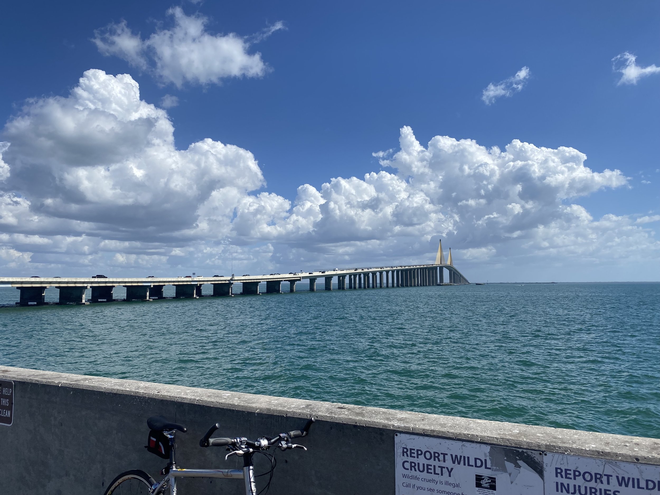 View of a large bridge over turquoise waters under a partly cloudy blue sky, with a bicycle and a sign protesting wildlife cruelty in the foreground.