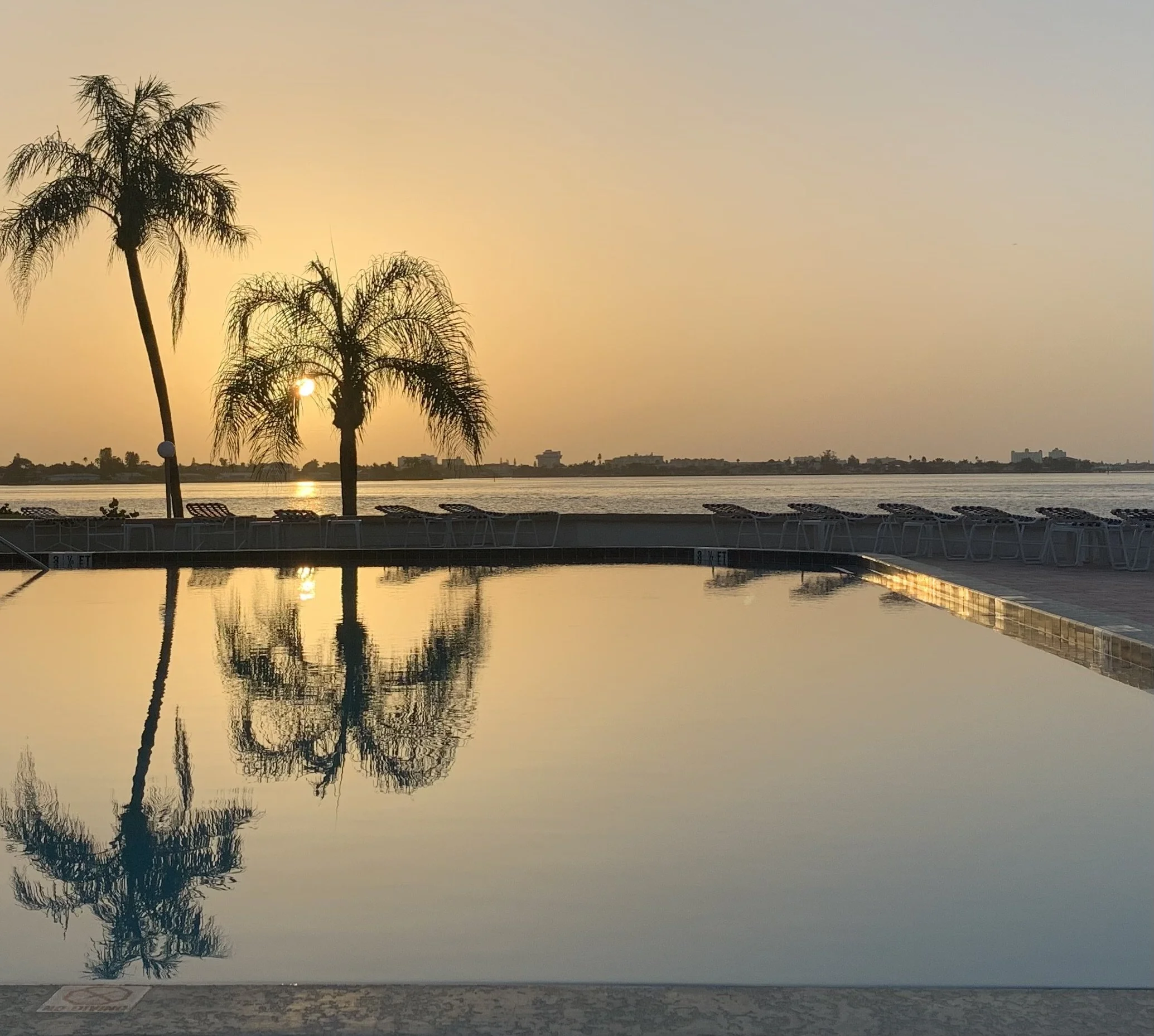 Silhouetted palm trees reflecting in a body of water at sunset, with a soft orange sky and distant buildings. Sunset view from our heated swimming pool overlooking the ocean