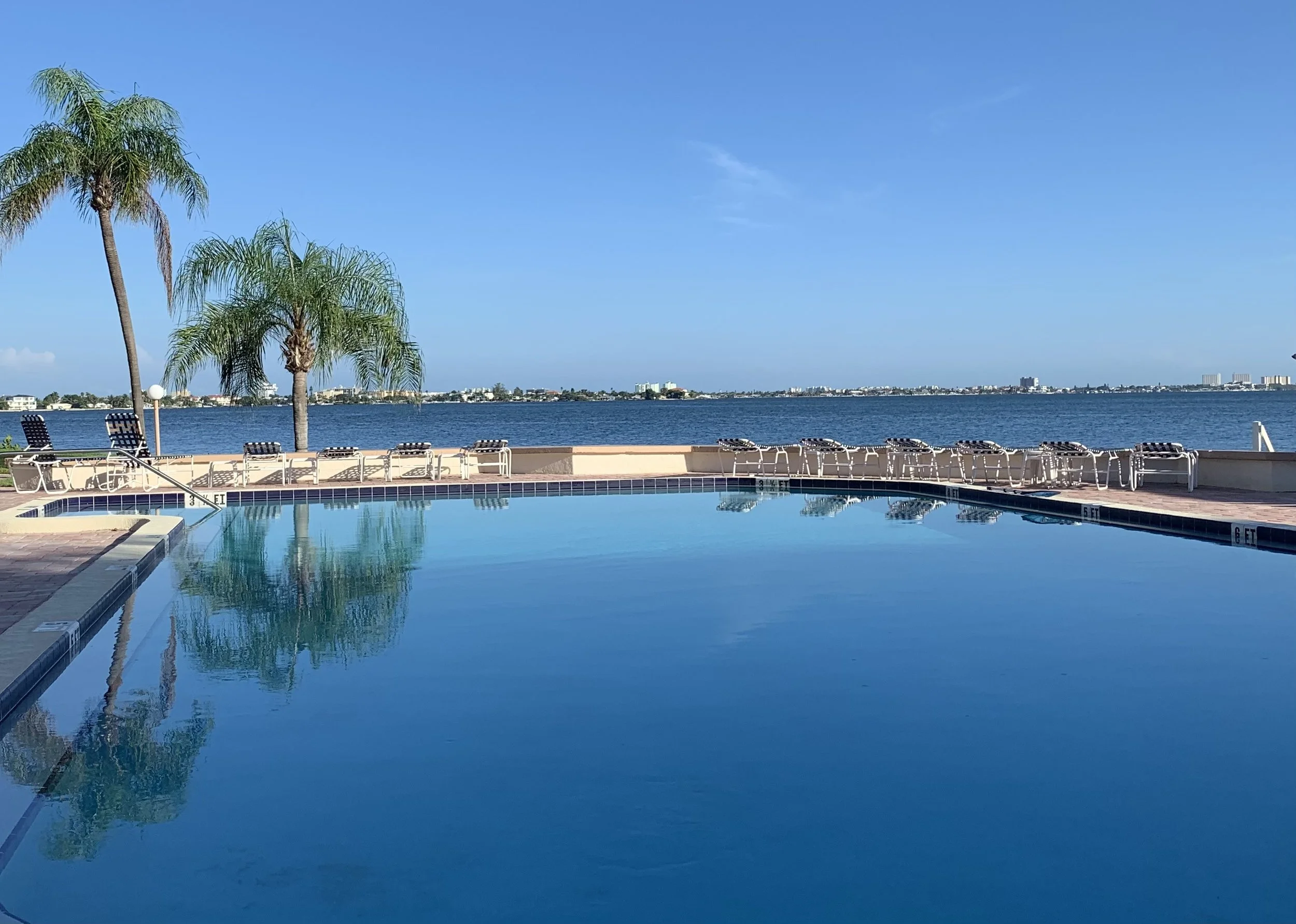 A heated  swimming pool with lounge chairs by the water, two palm trees, and a body of water in the background overlooking the ocean and a waterfront location under a clear blue sky.