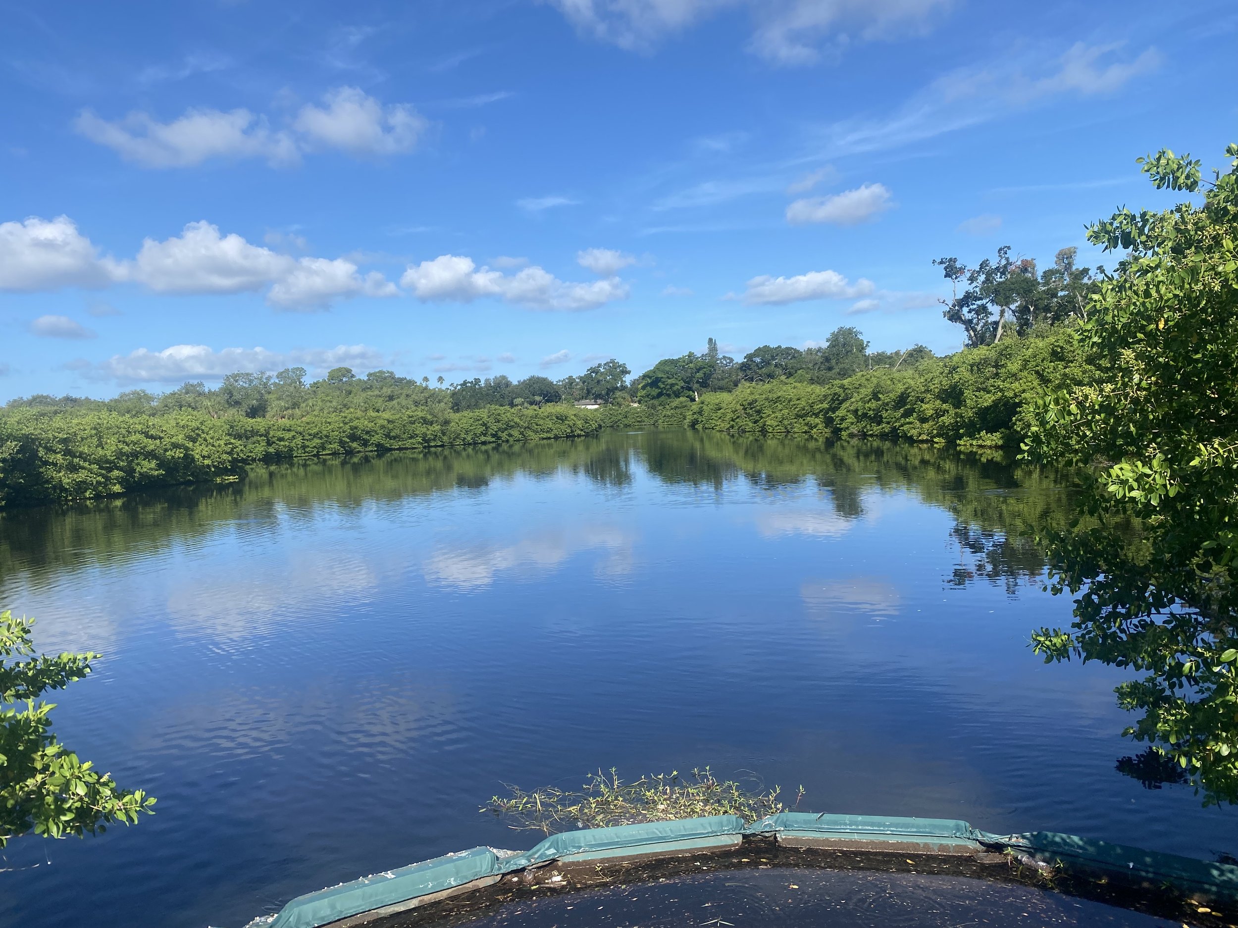Clam Bayou nature reserve showing lake and mangrove