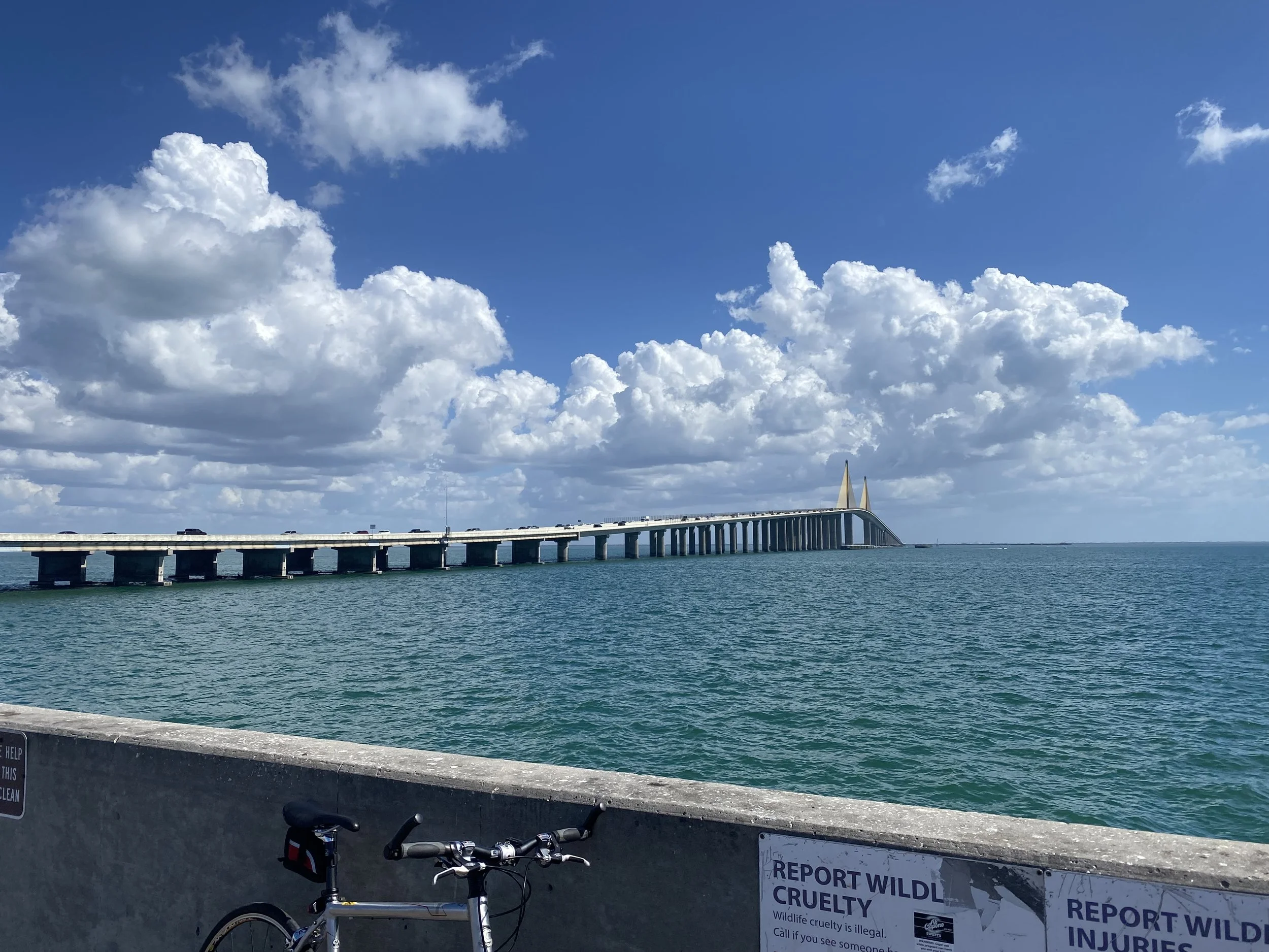 Stunning view of the iconic Skyway Bridge from the route to the fishing pier