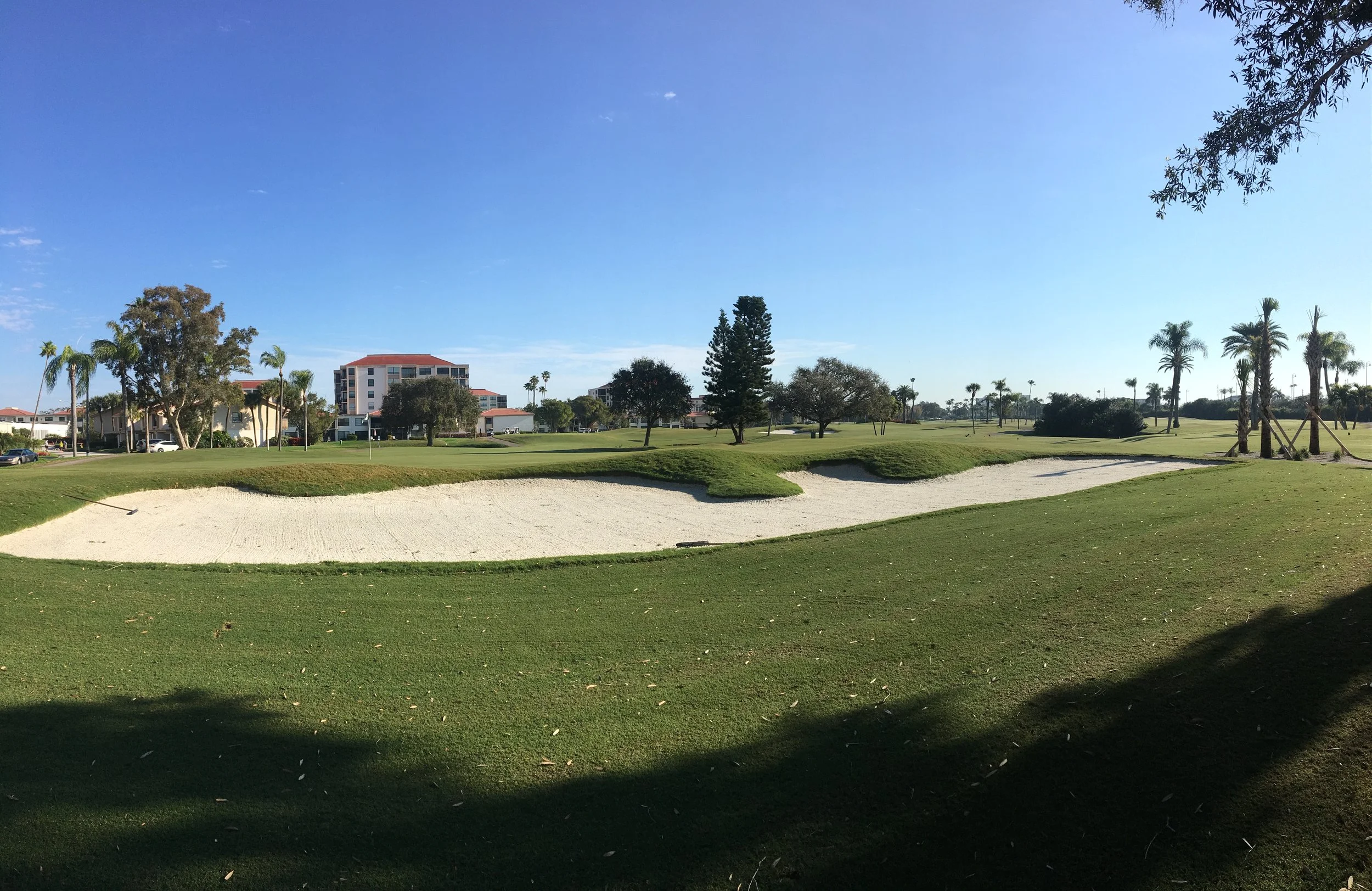 A championship golf course with sand bunkers, green grass, and palm trees under a clear blue sky. fantastic well tended putting greens