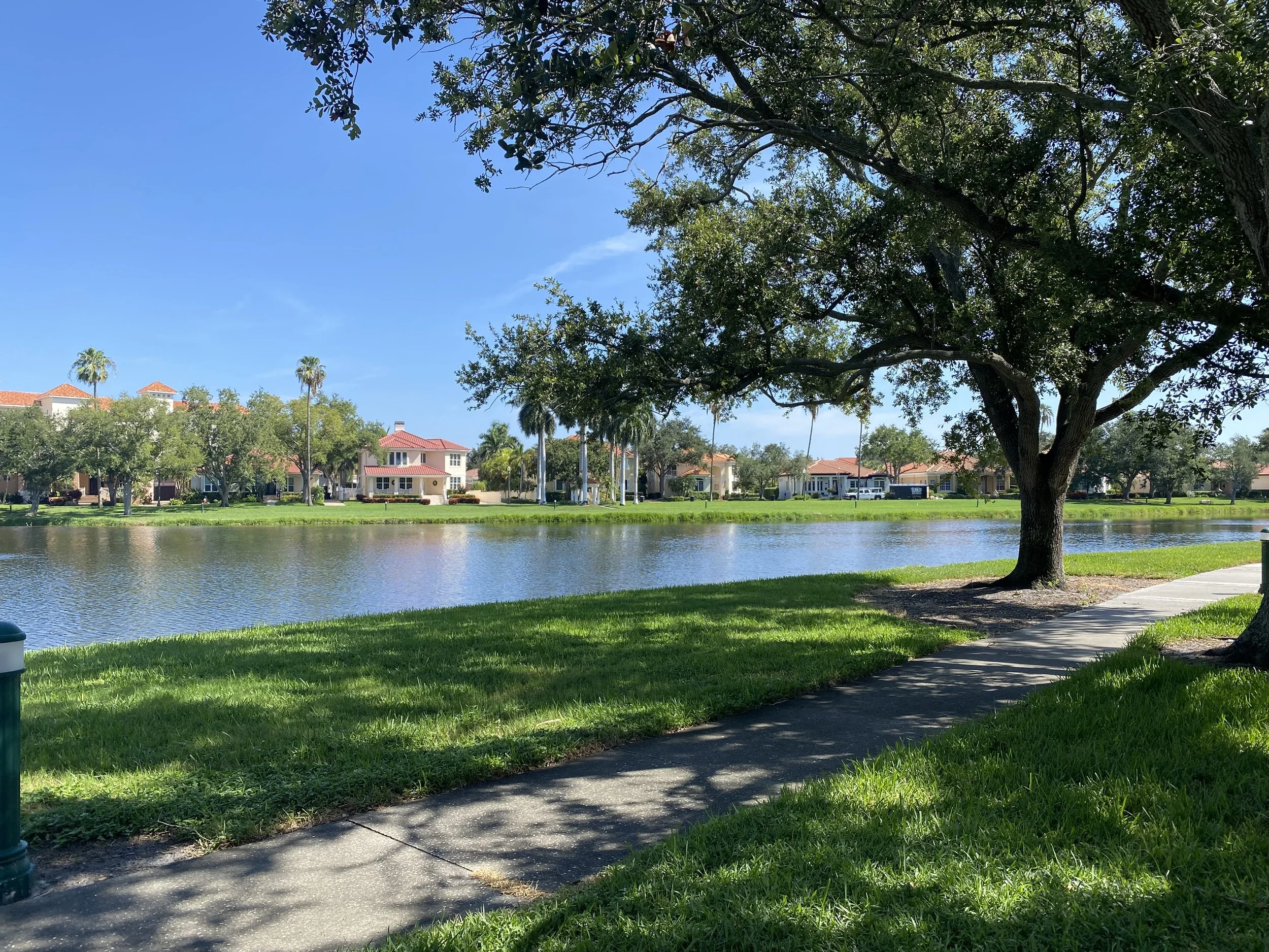 View of a park with a large tree in the foreground, a walking path, a body of water, and houses with red roofs in the background under a clear blue sky.