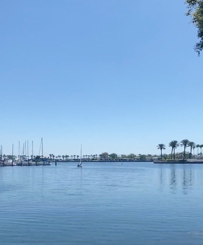 St-pete-marina.jpg