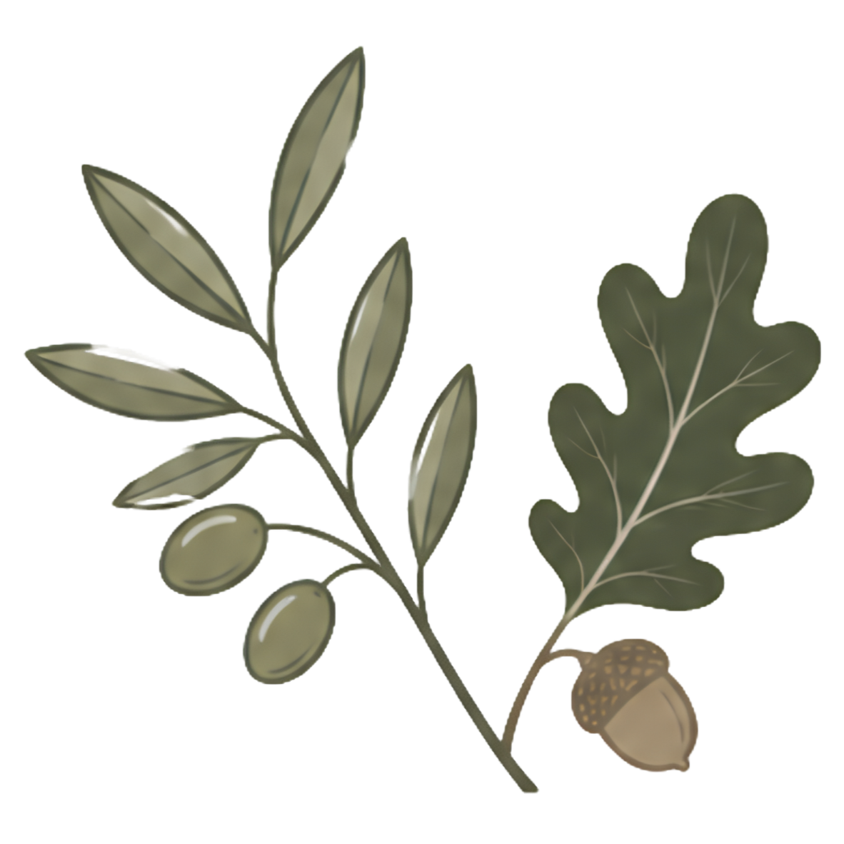 Olive &amp; Oak Bookkeeping