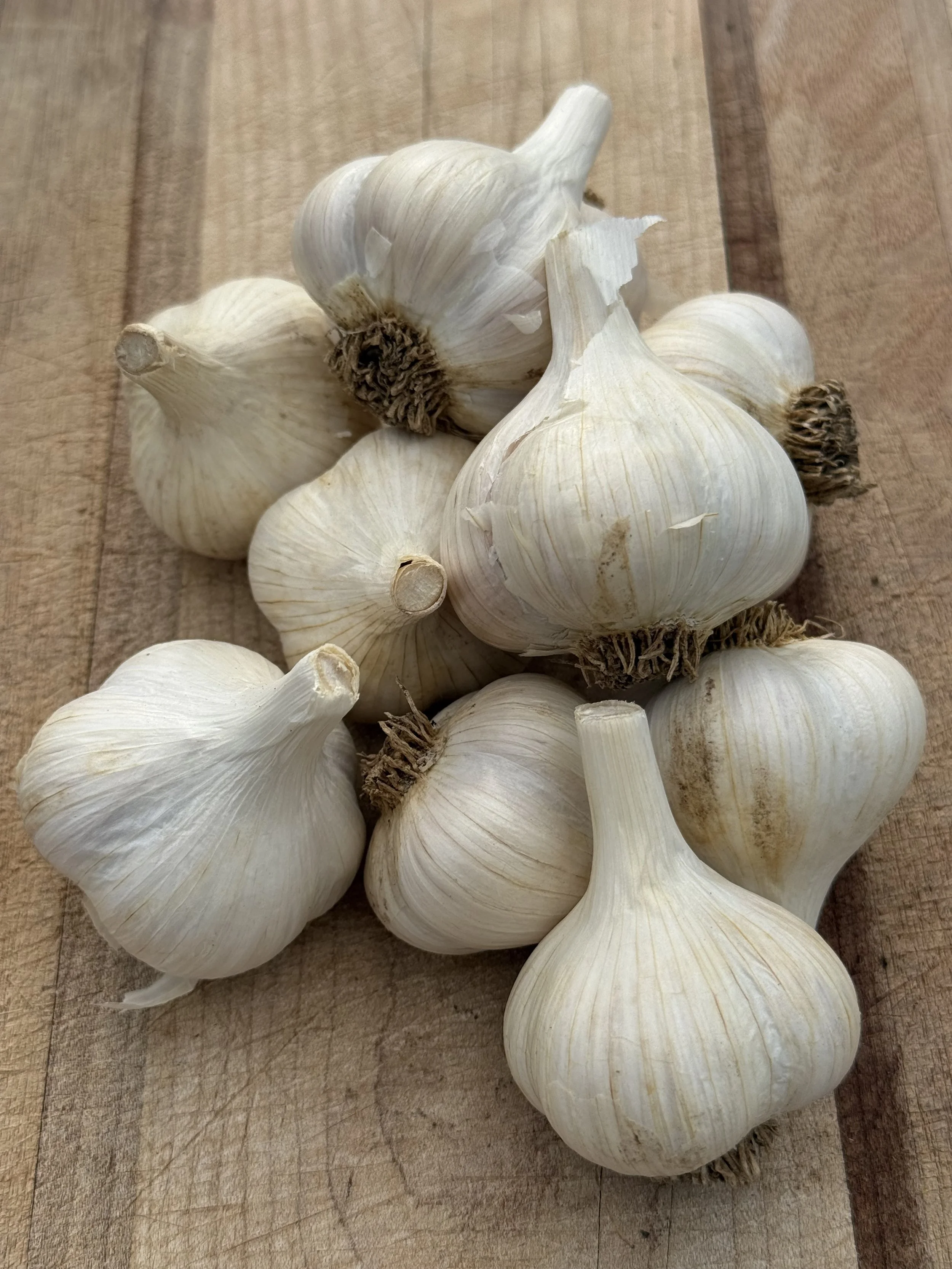 montana-zemo-garlic.jpeg