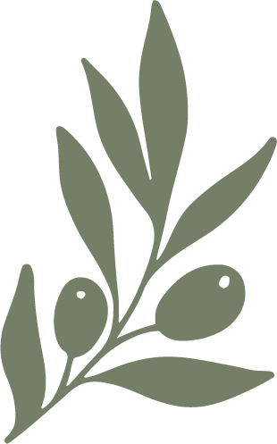 Illustration of an olive branch with leaves and olives