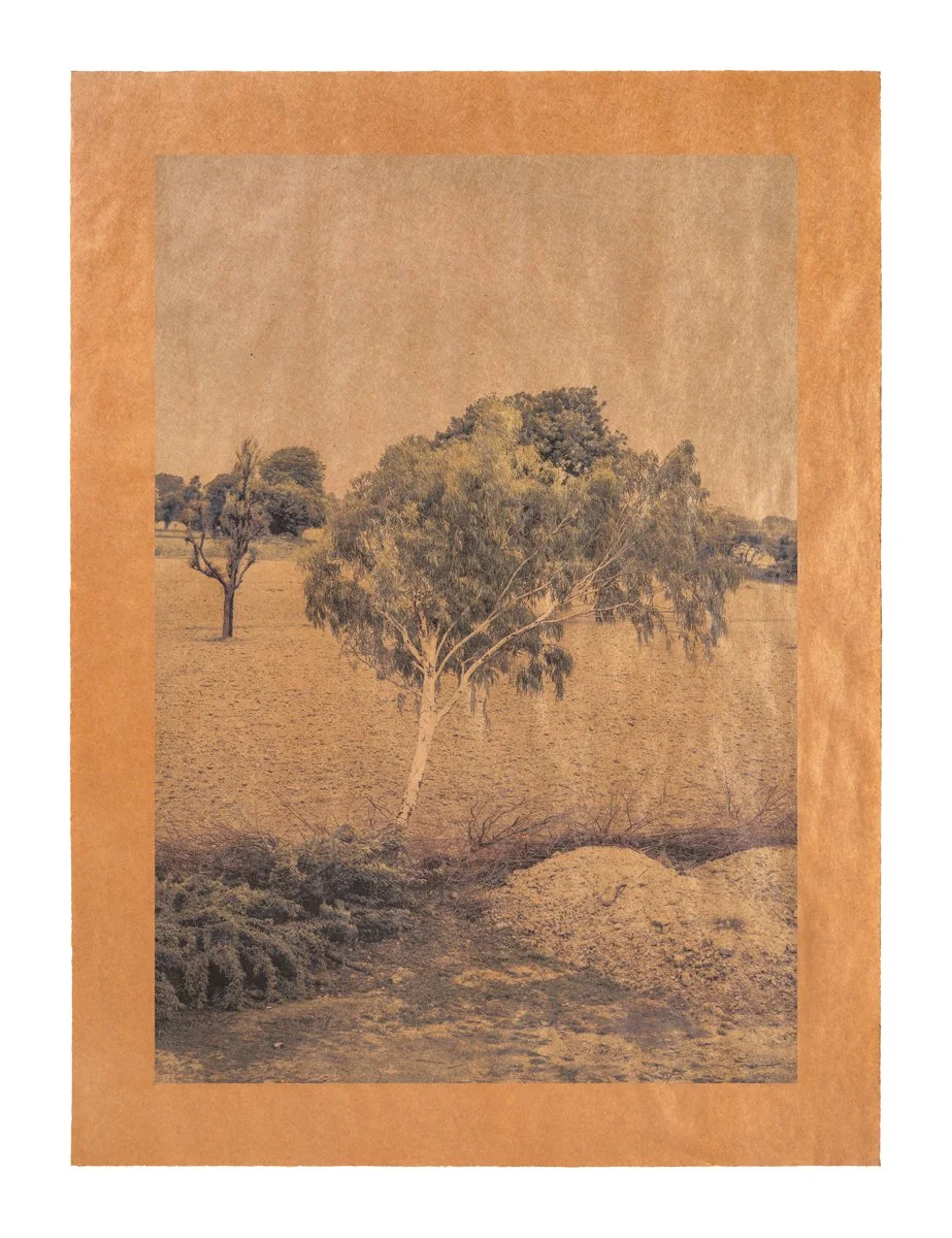 A vintage sepia-toned photograph of a landscape featuring a tree in the foreground and open fields with a few more trees in the background.