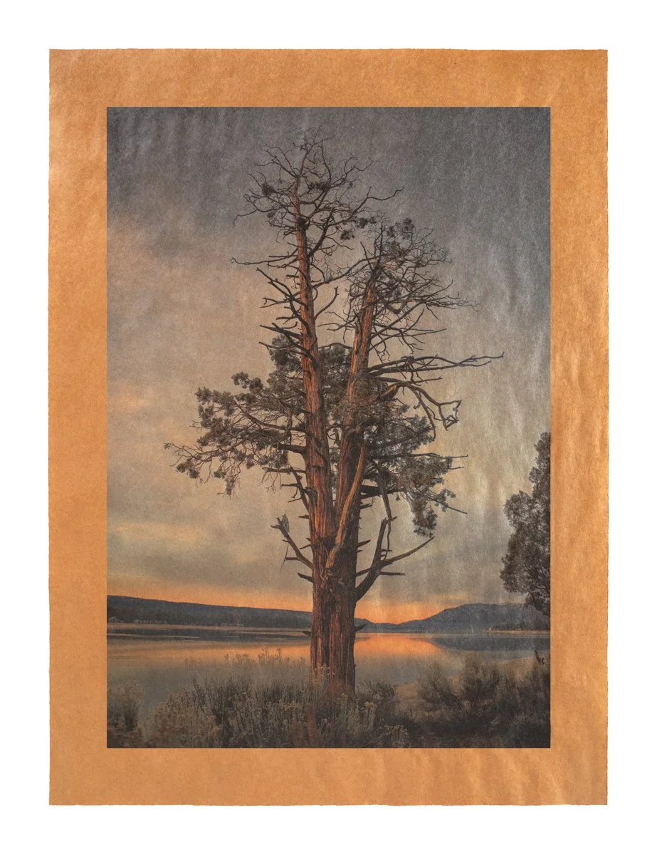 A landscape photo of a tall, leafless tree beside a lake at sunset, with mountains in the background and a sky with mixed clouds.