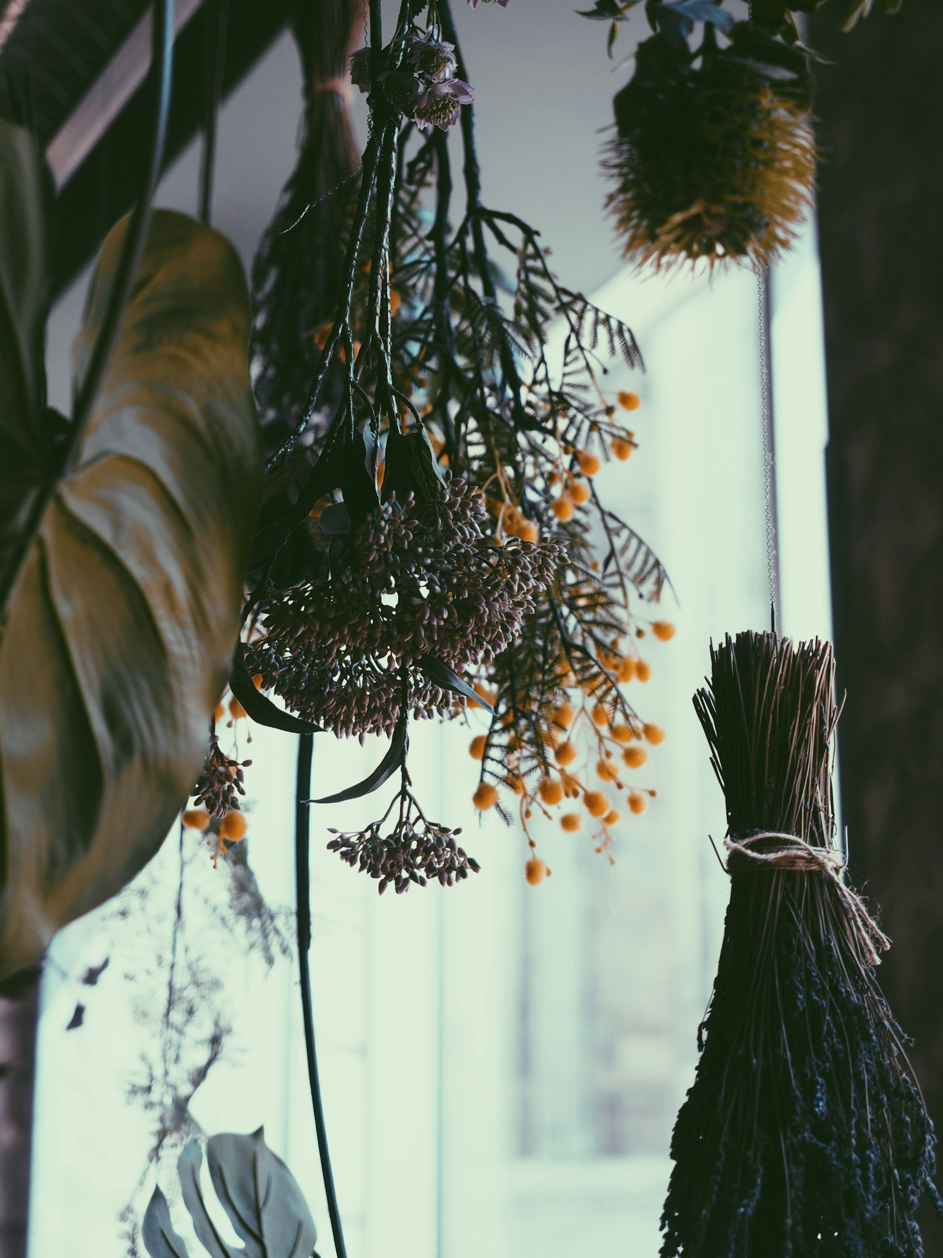 Dried flower arrangements hanging upside down near a window, including yellow, purple, and dark-colored flowers and leaves.