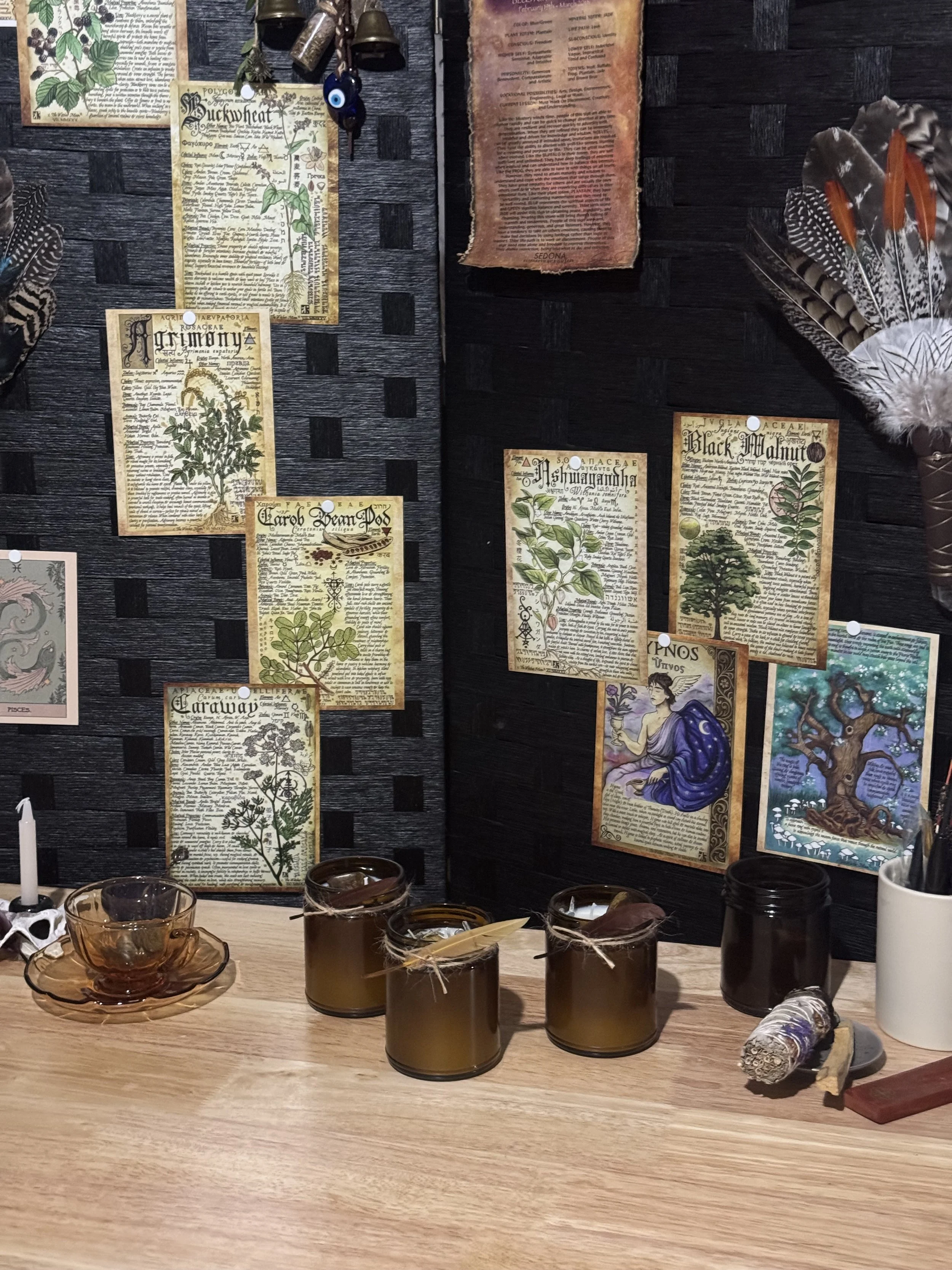 Display of botanical illustrations and informational posters about plants on a dark wall, alongside several small amber and black jars with candles or other contents on a wooden table, with a white candle and some decorative items nearby.