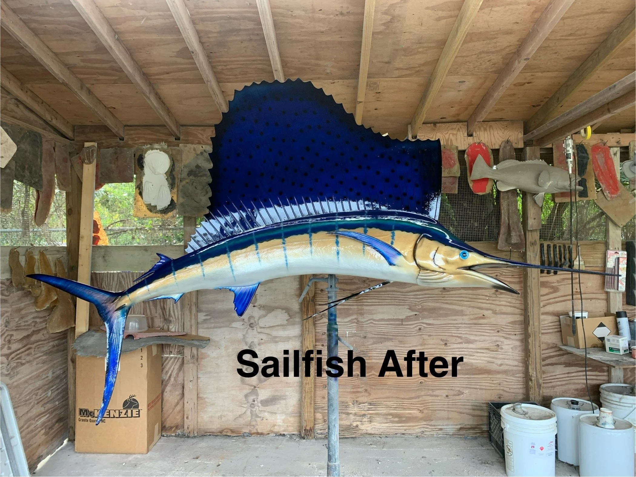 A large marlin fish mounted on a wall in a workshop, with the caption 'Salfish After' in black text at the bottom.