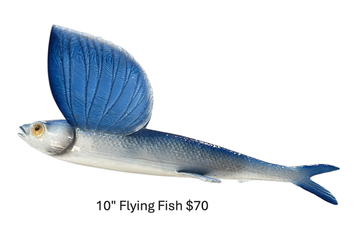 10" Flying fish