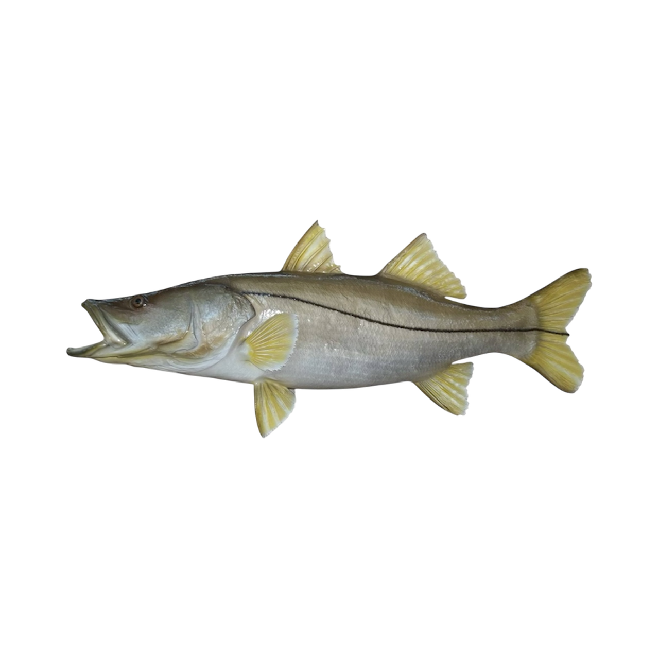 SNOOK 42.PNG