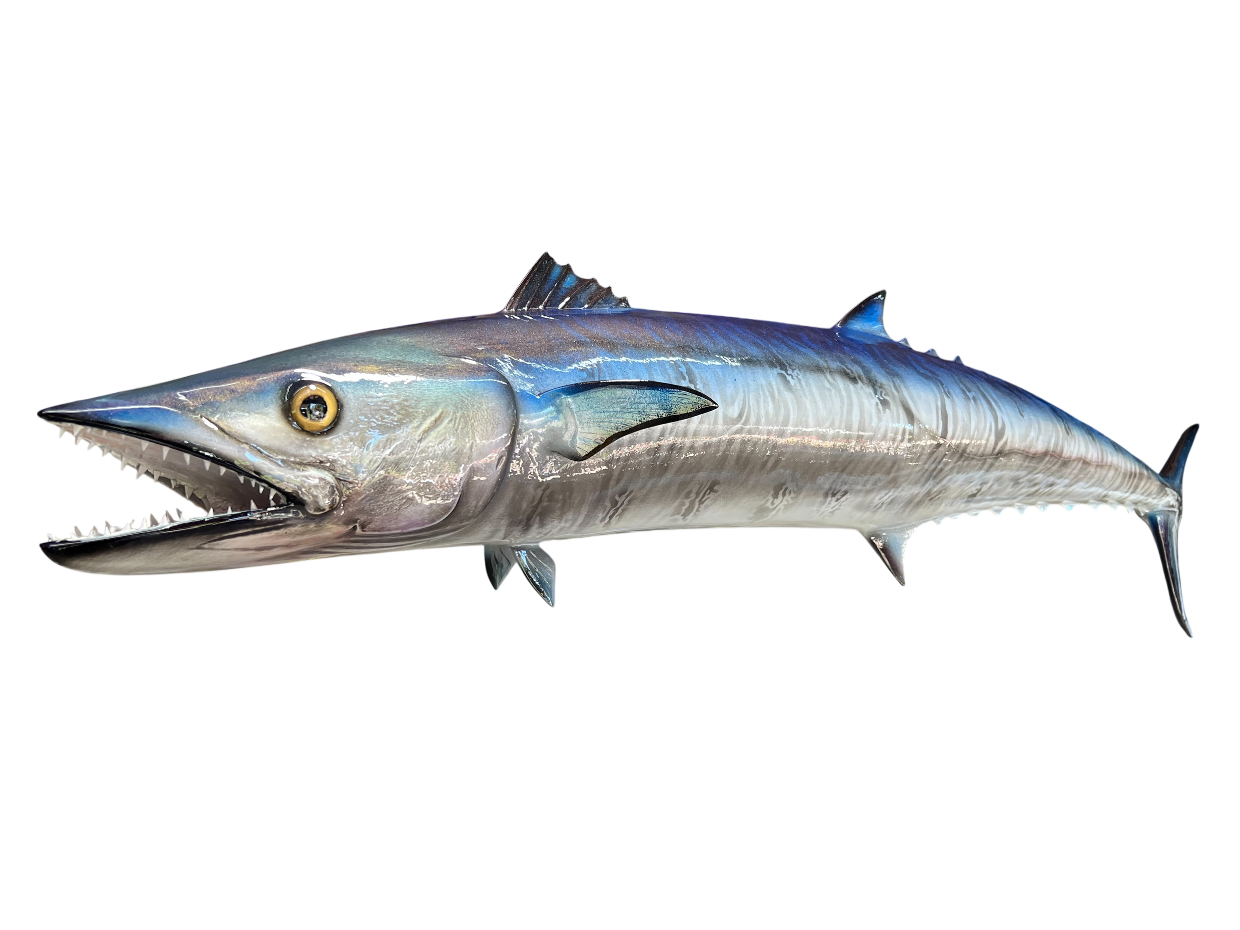 KING FISH.PNG