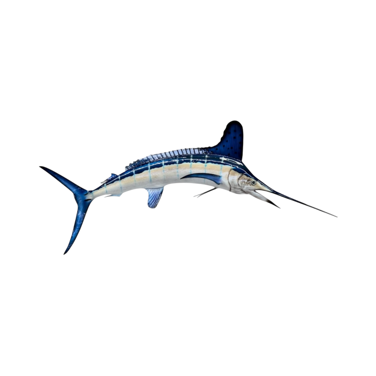 WHITE MARLIN 85.PNG