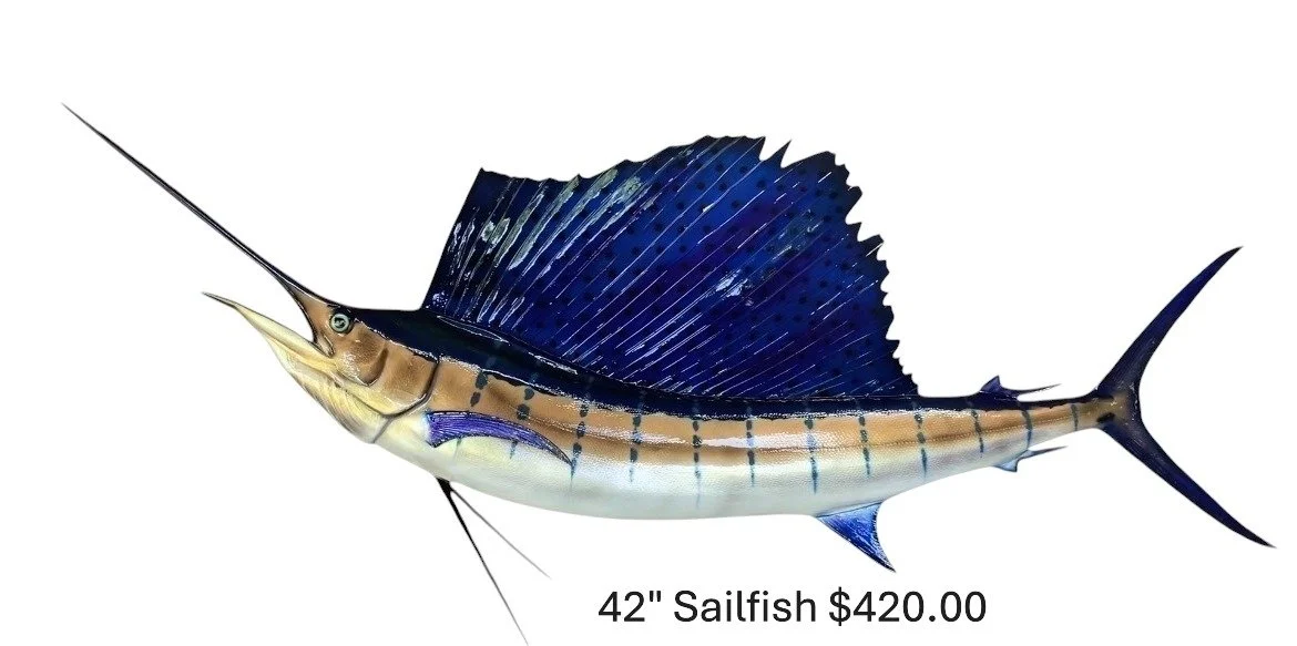 42" Sailfish