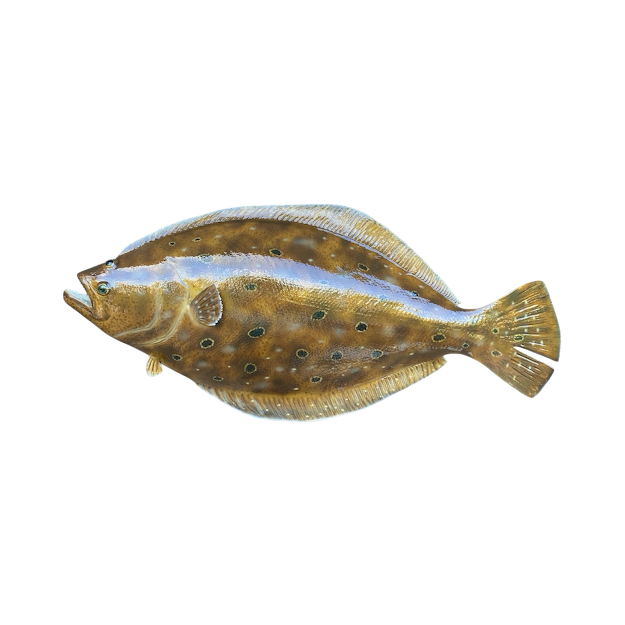 FLUKE 30.PNG