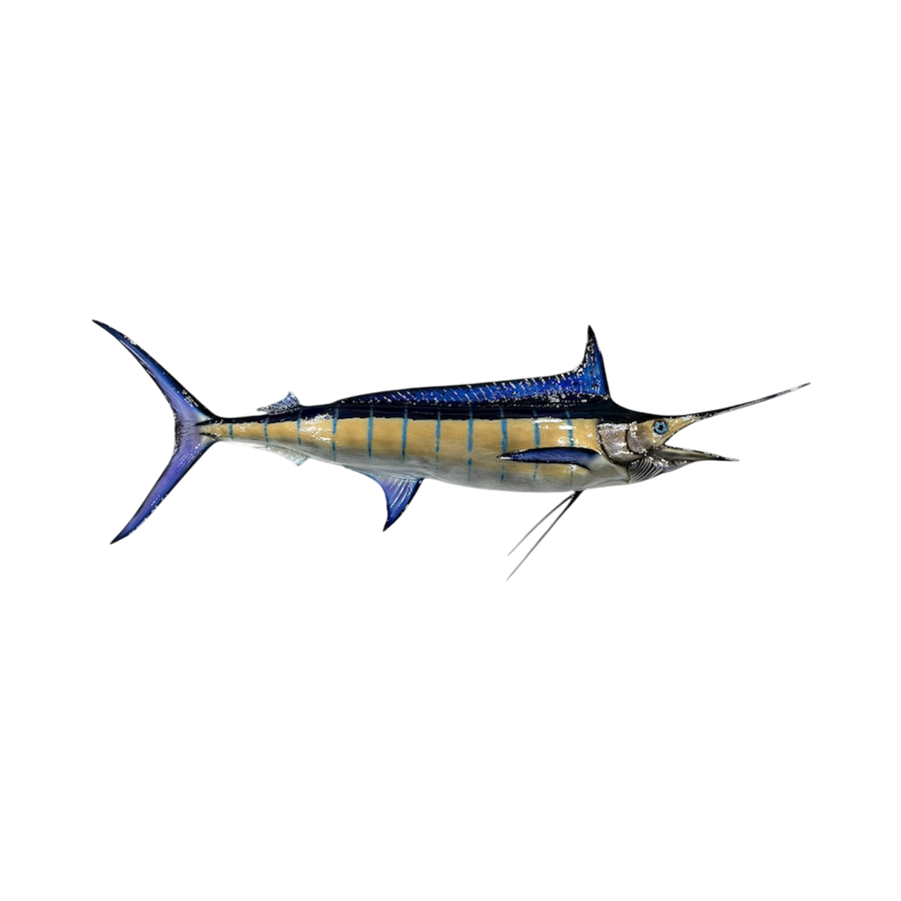 A marlin fish with a long pointed bill, blue and yellow coloration, and a streamlined body swimming against a black background.