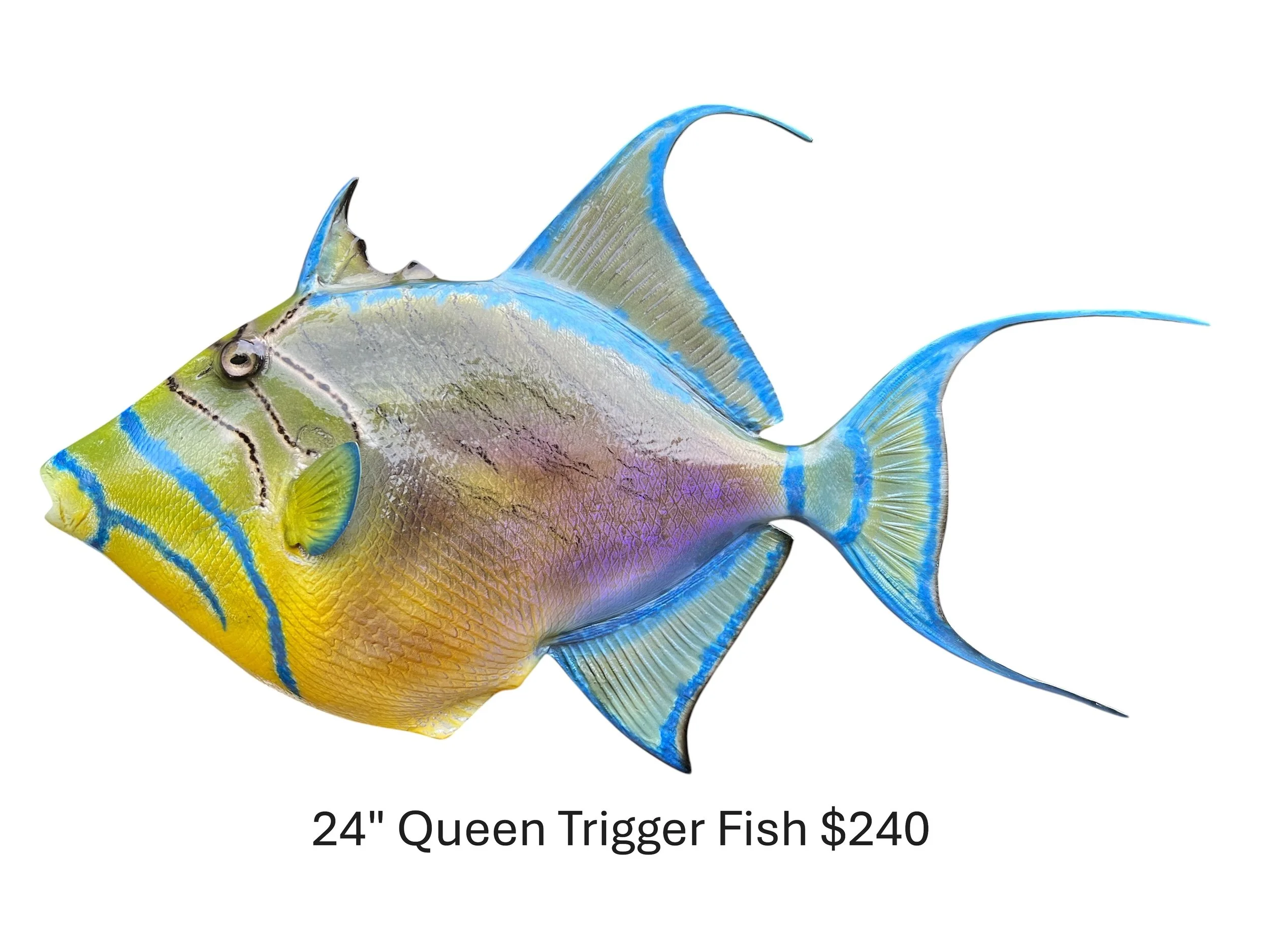 24" Queen Trigger