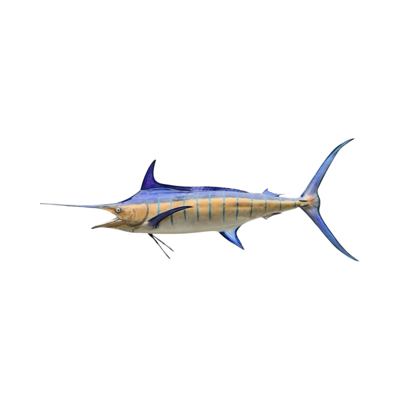 BLUE MARLIN 58.PNG