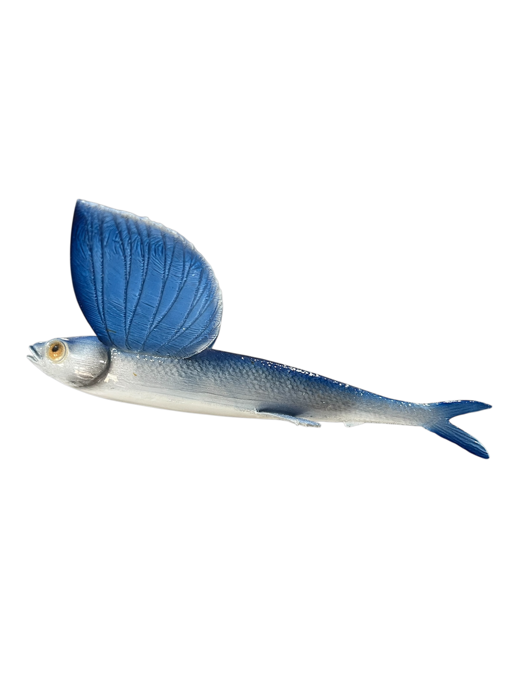 FLYING FISH 75.PNG