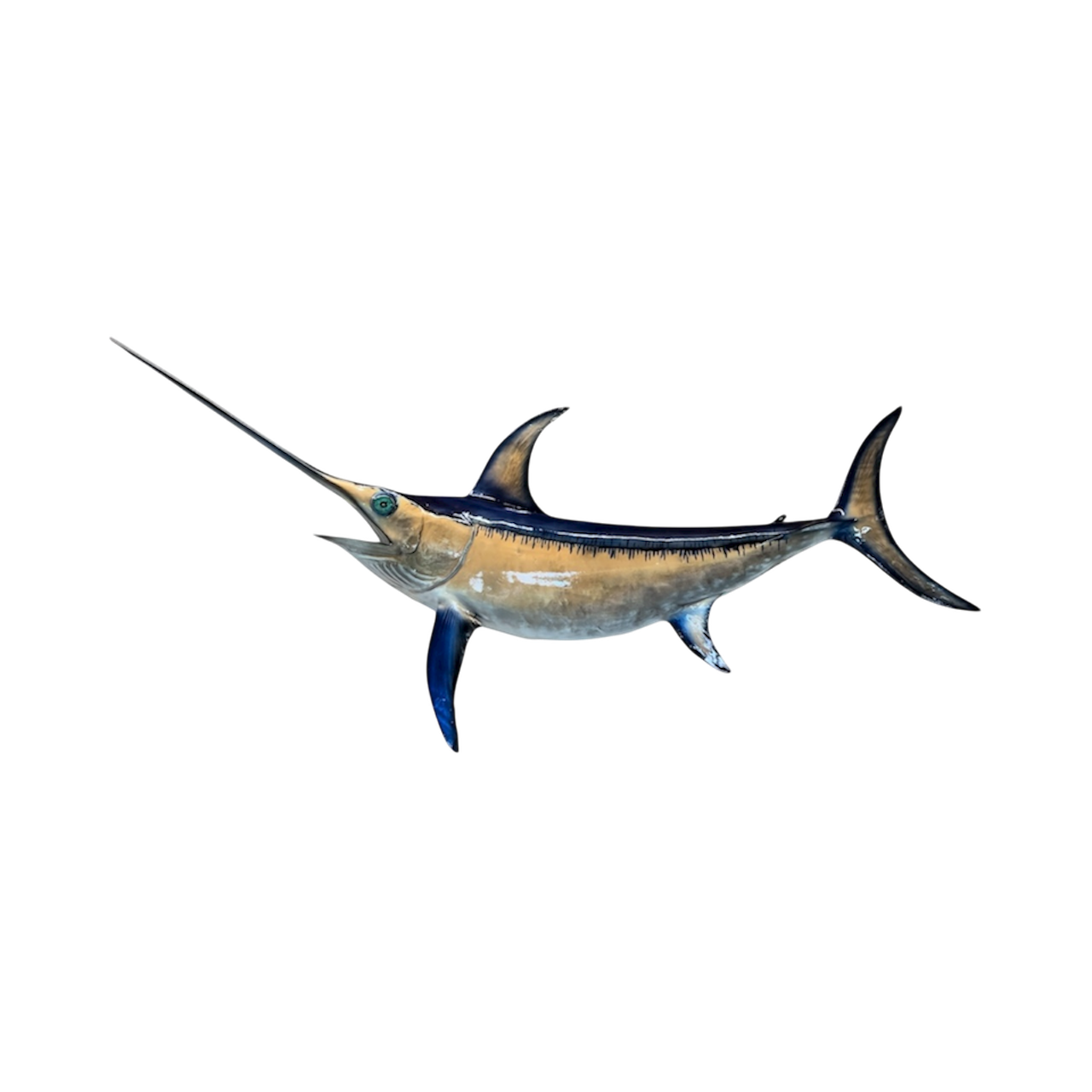 SWORD FISH 24.PNG