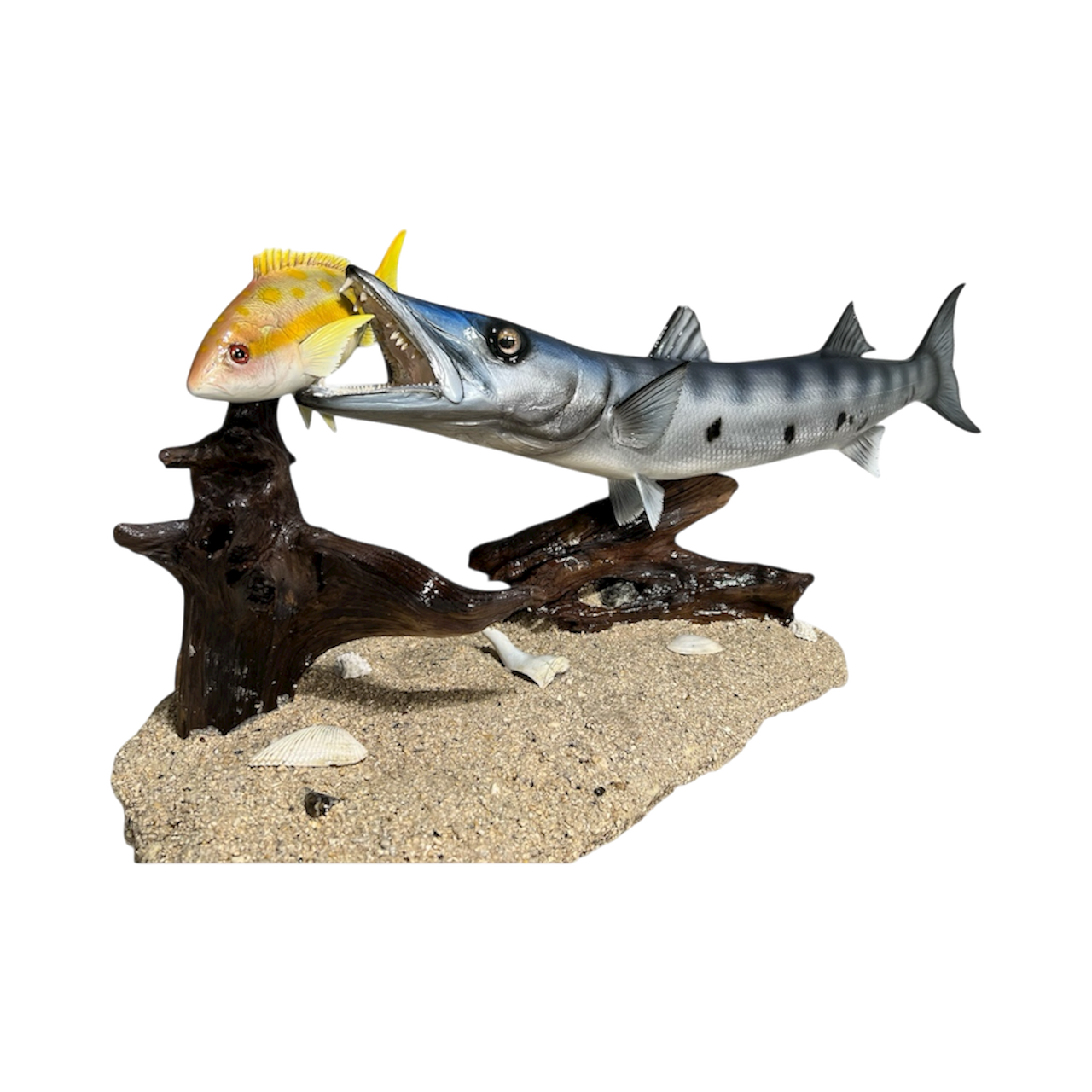 BARACUDA & YELLOWTAI CUSTOM MOUNT 45.PNG