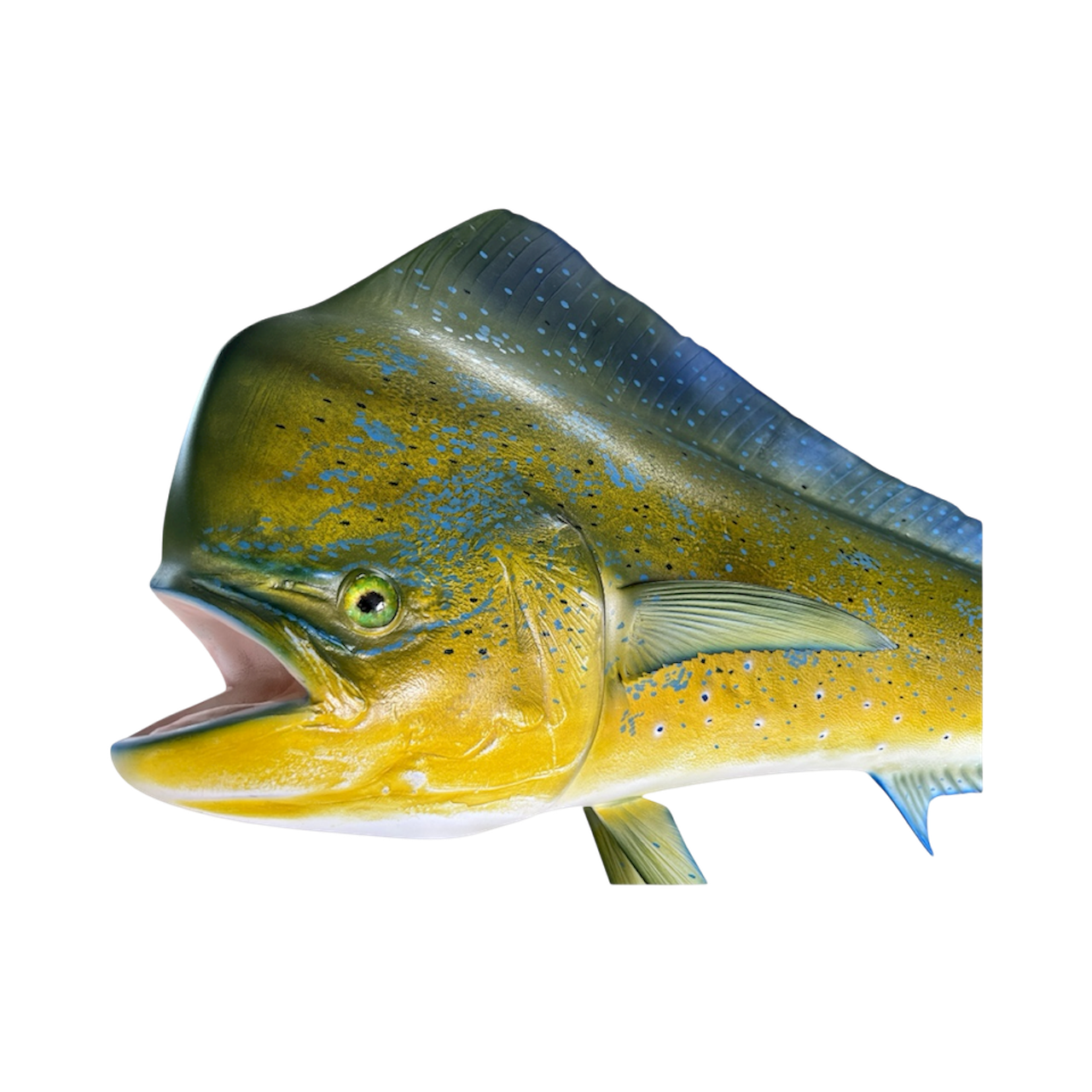 BULL DOLPHIN DETAILS 94.PNG