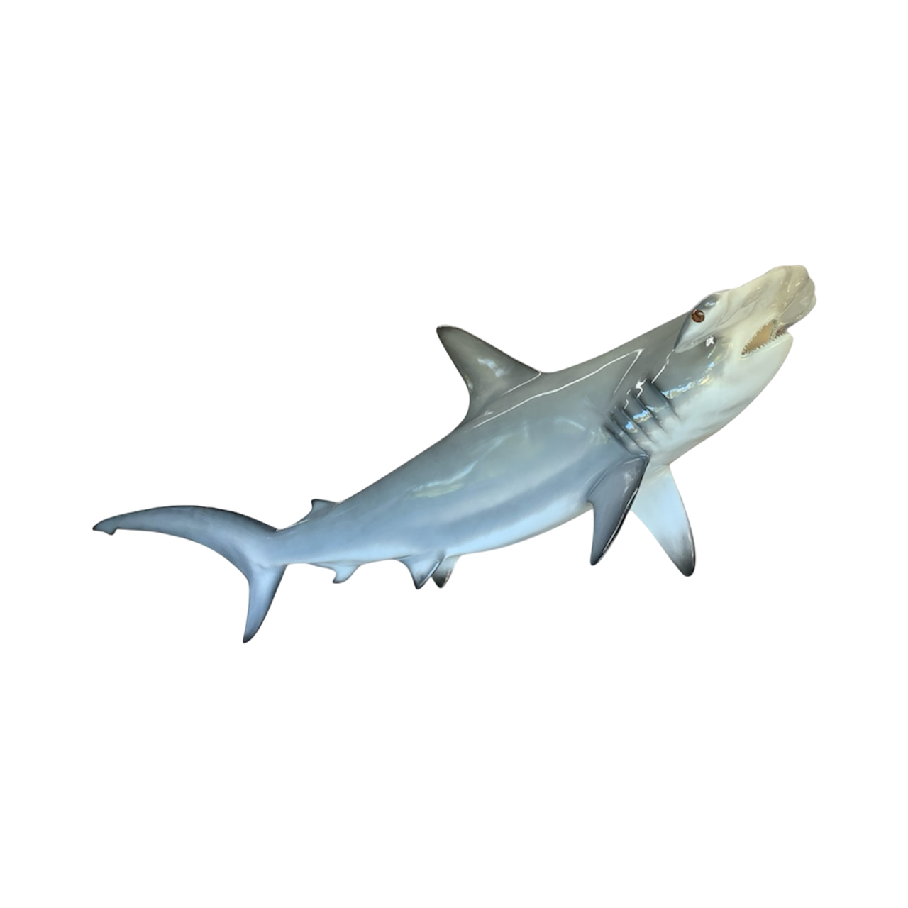 GREATER HAMMERHEAD SHARK 115.PNG