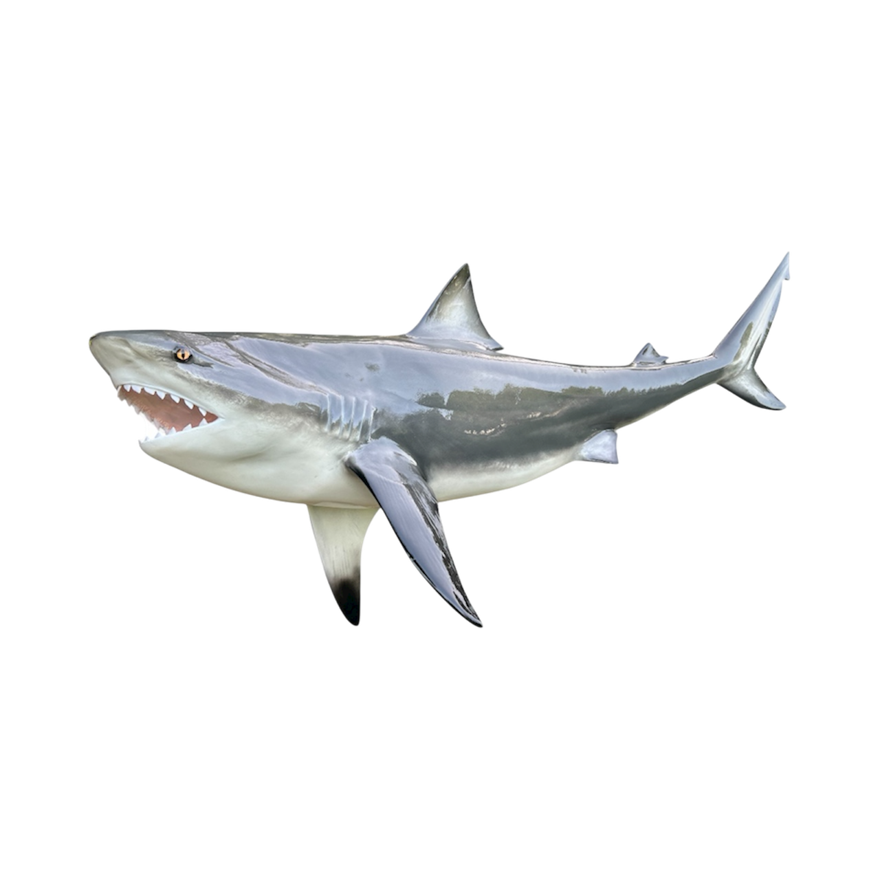 BULL SHARK 109.PNG