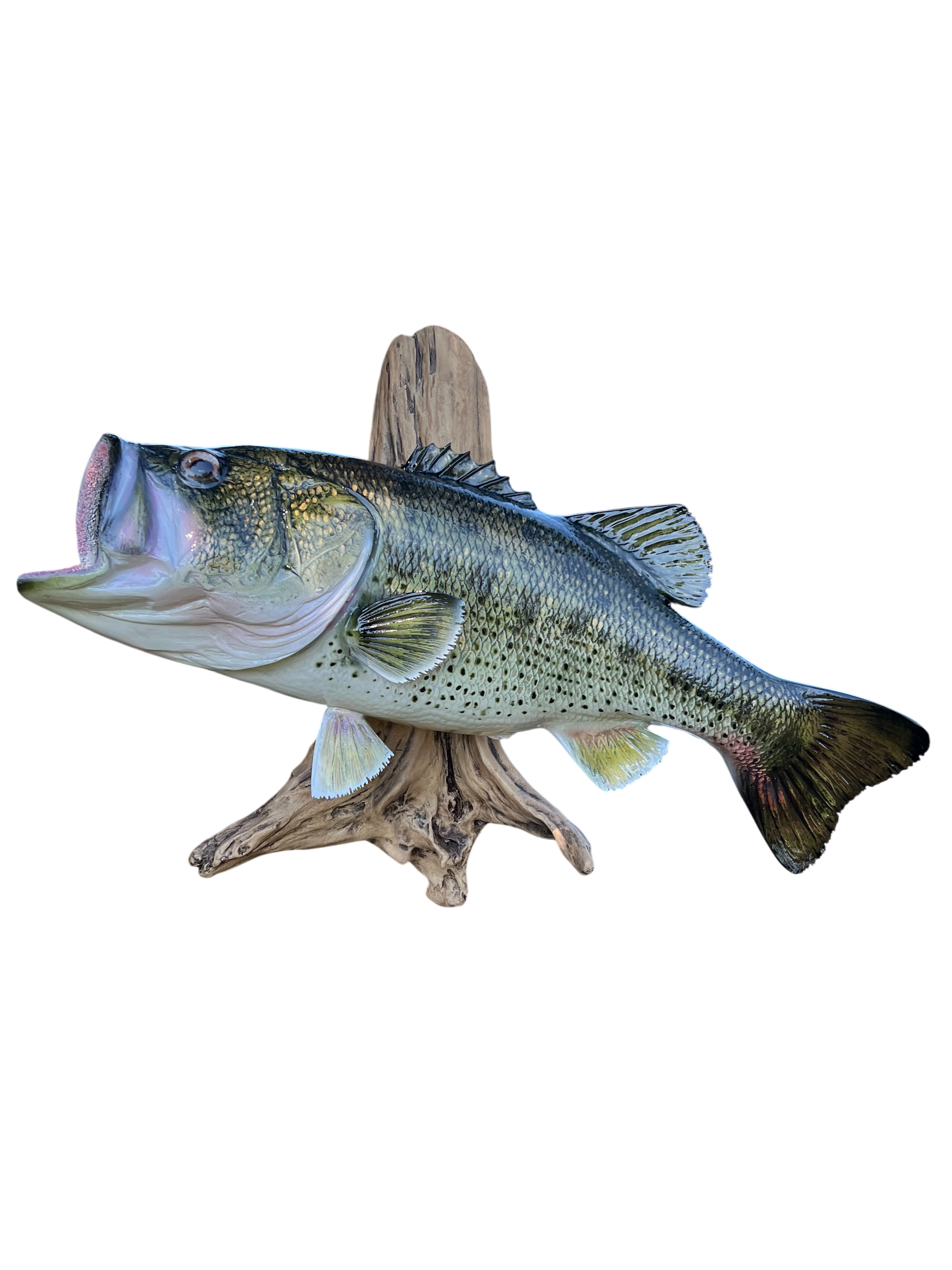 LARGE MOUTH BASS 11.PNG
