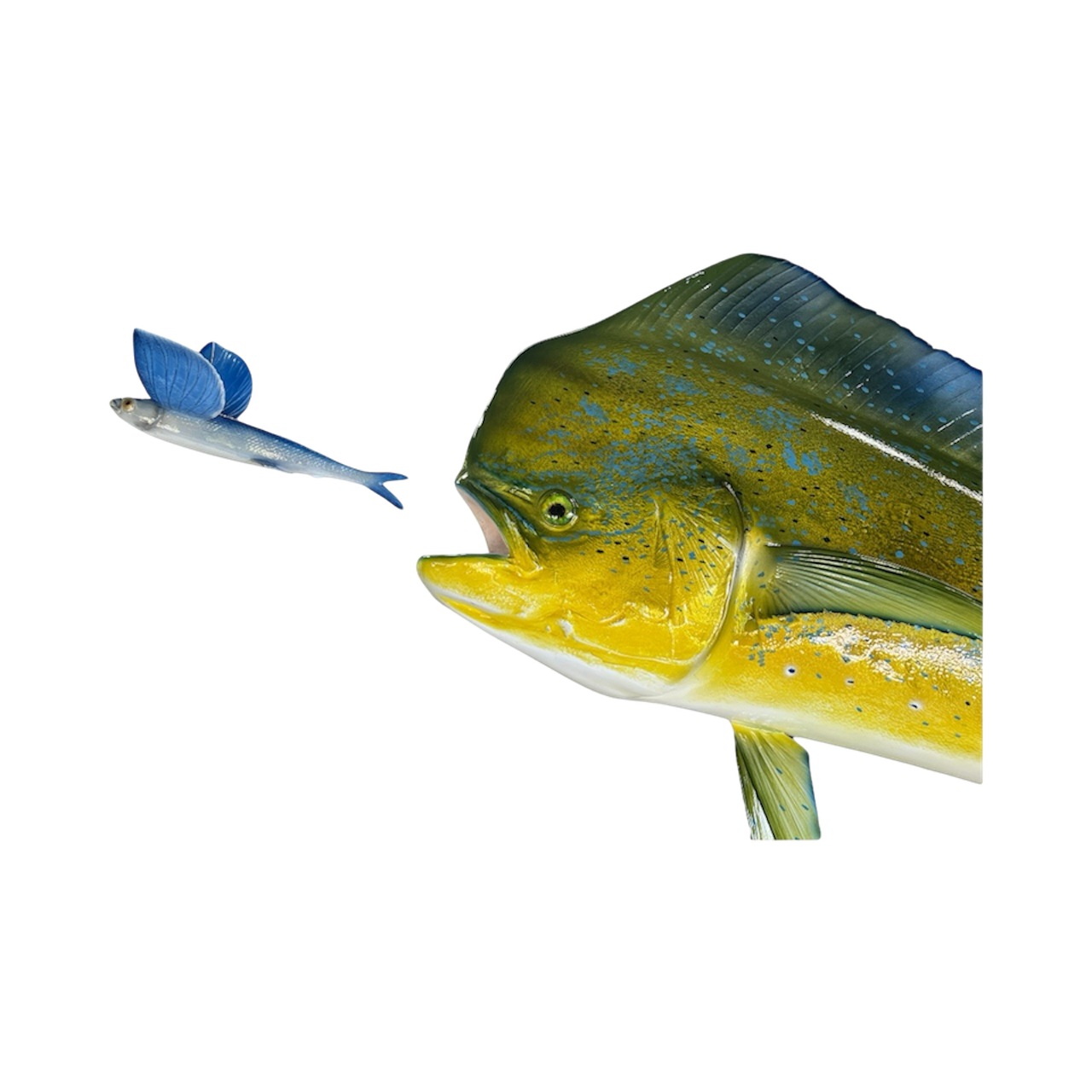 BULL DOLPHIN & FLYING FISH 92.PNG