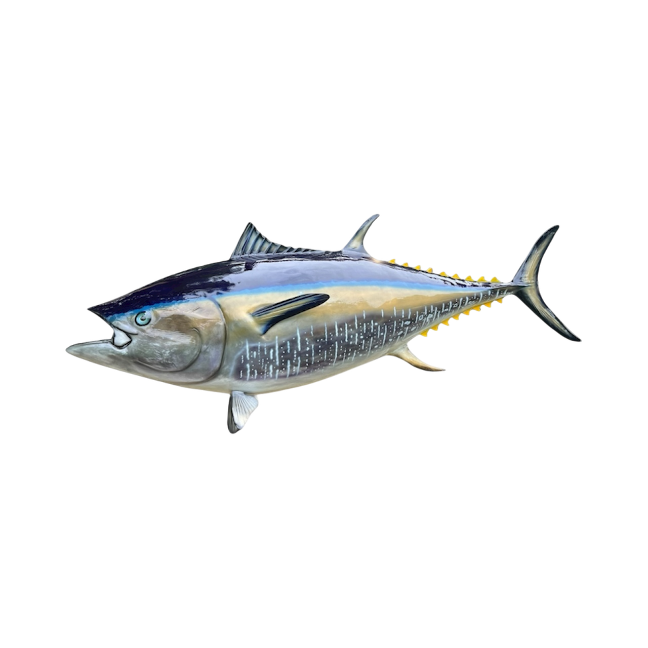 BLUEFIN TUNA 89.PNG