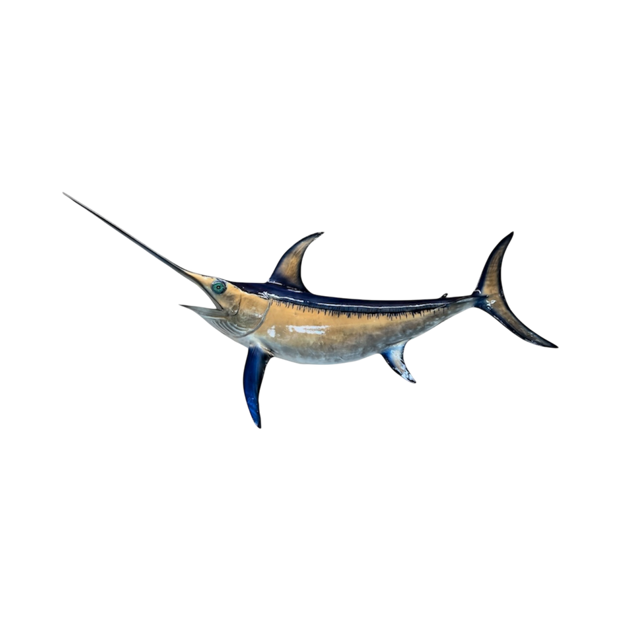 Offshore Species