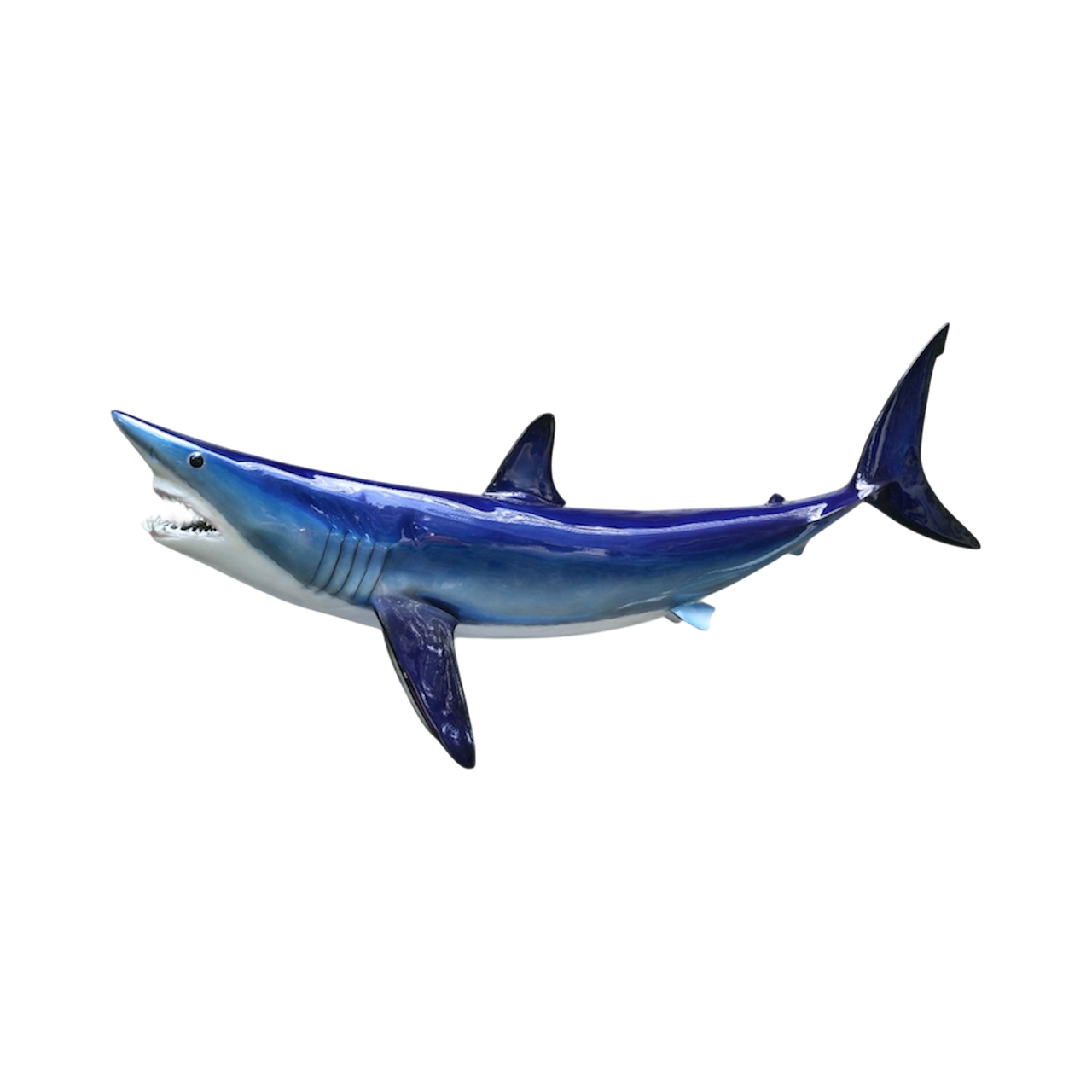 MAKO SHARK 62.PNG