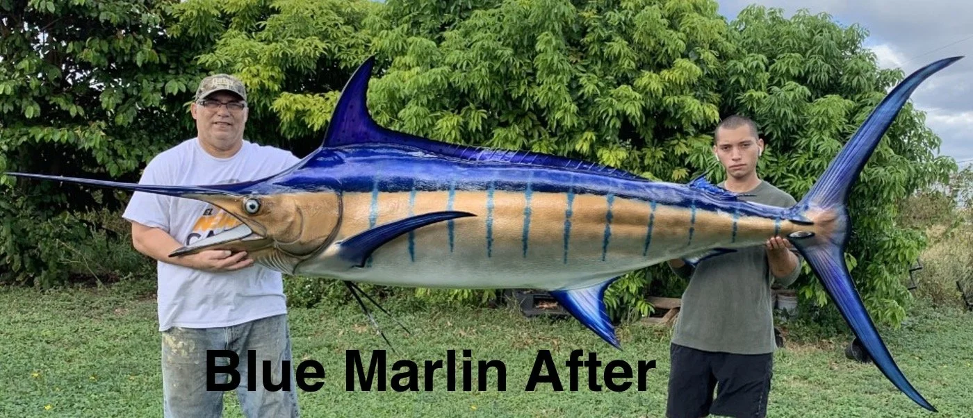 Two men holding a large, realistic-looking, painted marlin fish model outdoors in front of green trees with the caption "Blue Marlin After" at the bottom.